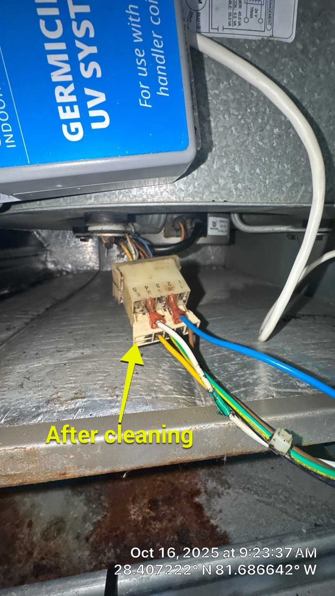 Air Duct Cleaning in Clermont by Hygienic Air, Inc