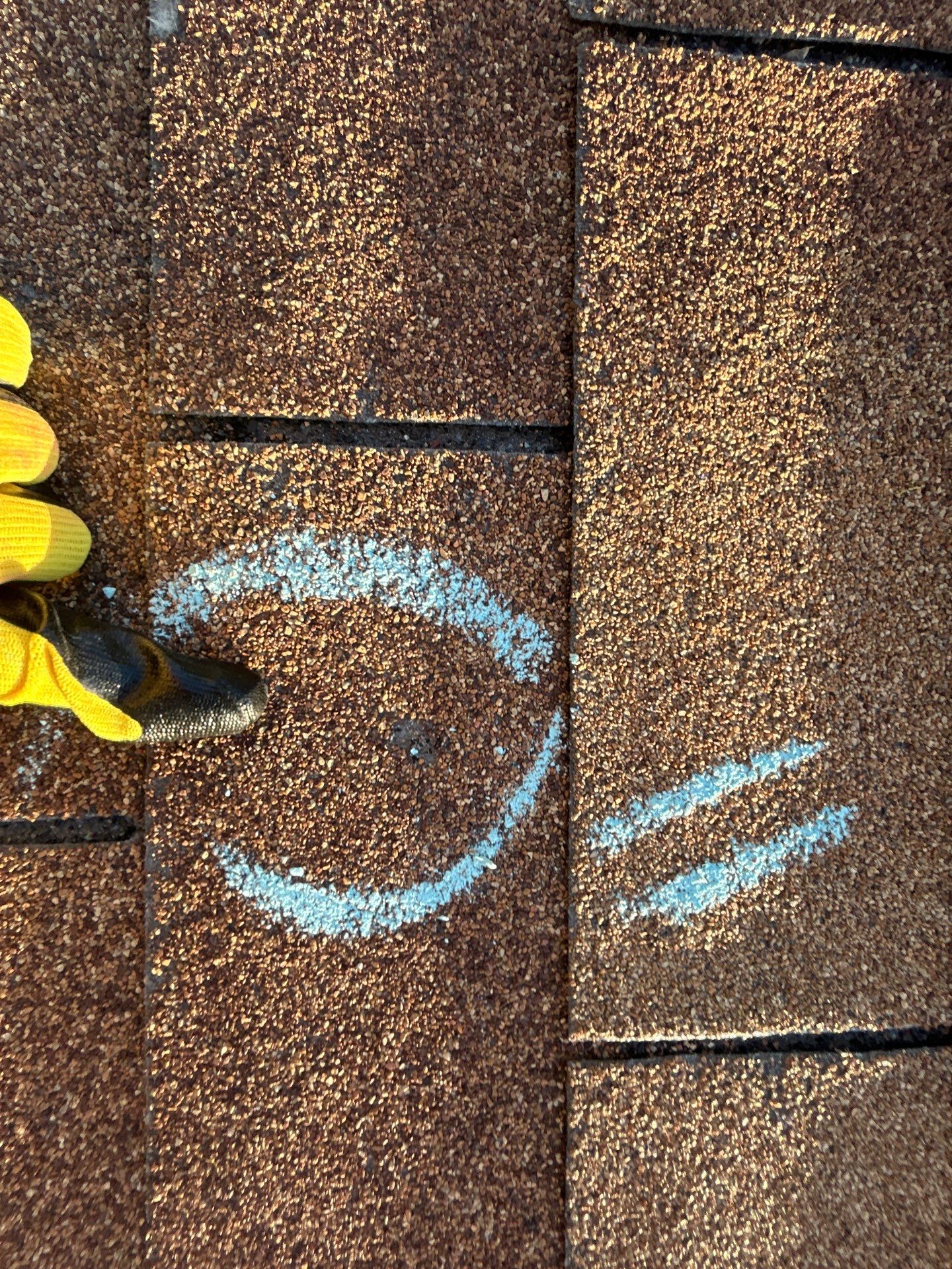 [Almost] All Trades by REPS OF TEXAS