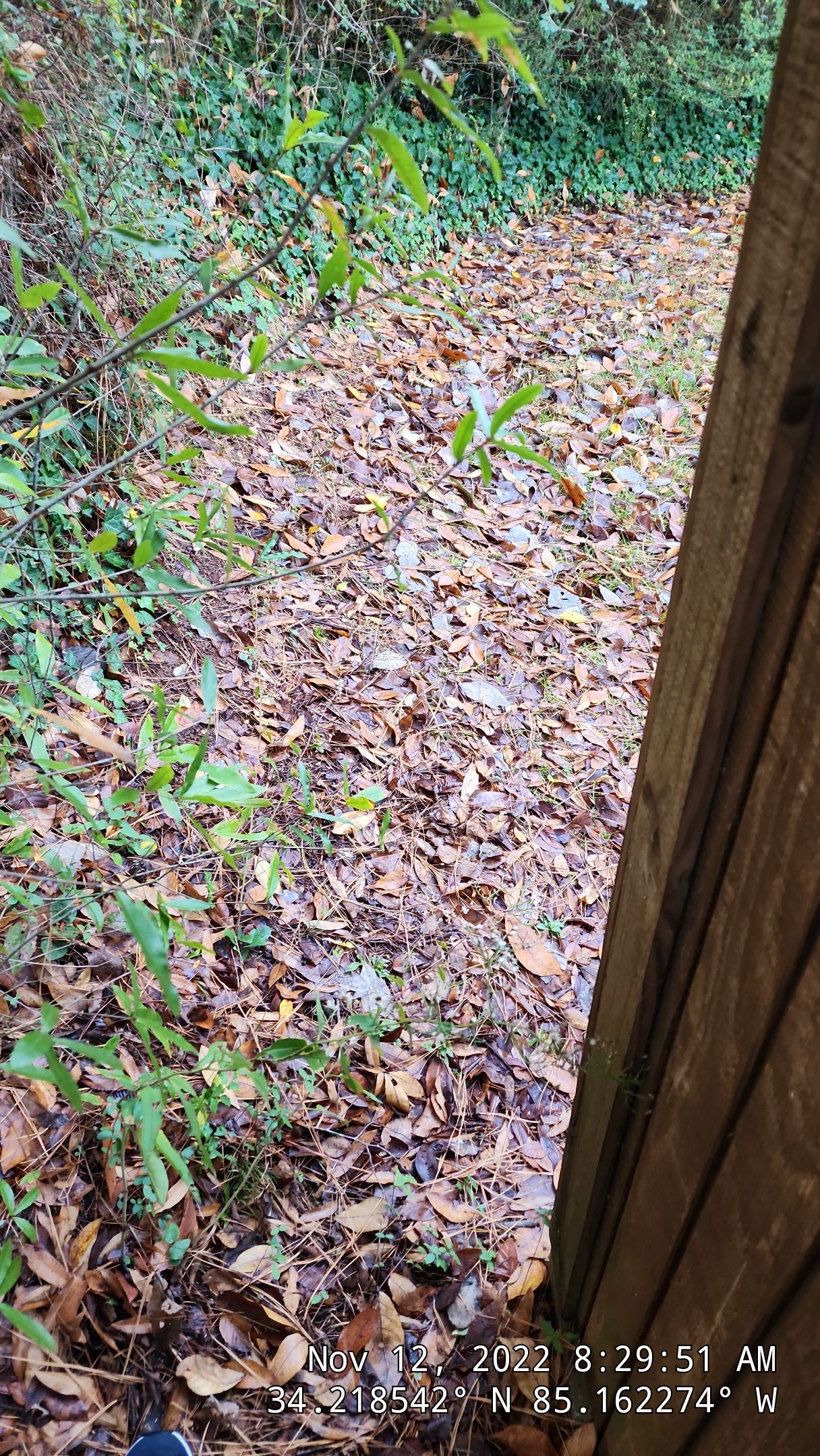 6' Wood Privacy Fence with Top Cap by Titans of Timber Fence & Stain