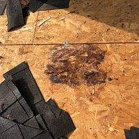 Project in Spring by Royal Crown Roofing 