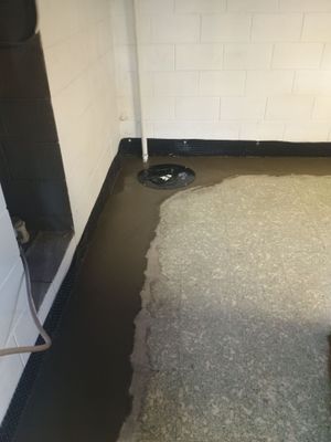 Drain Tile in Roseville for Carston