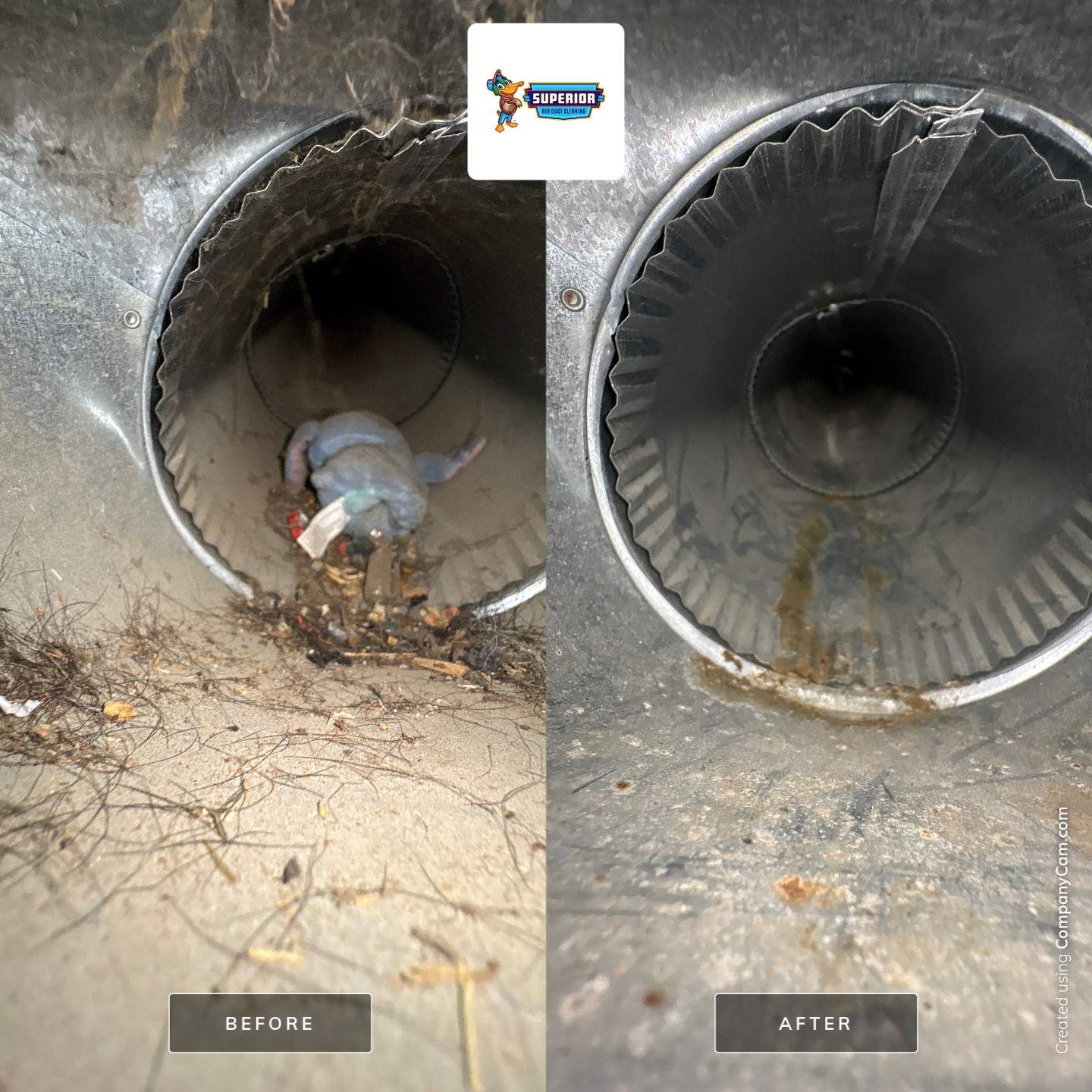 Air Duct Cleaning in Georgetown, PA by Superior Air Duct Cleaning