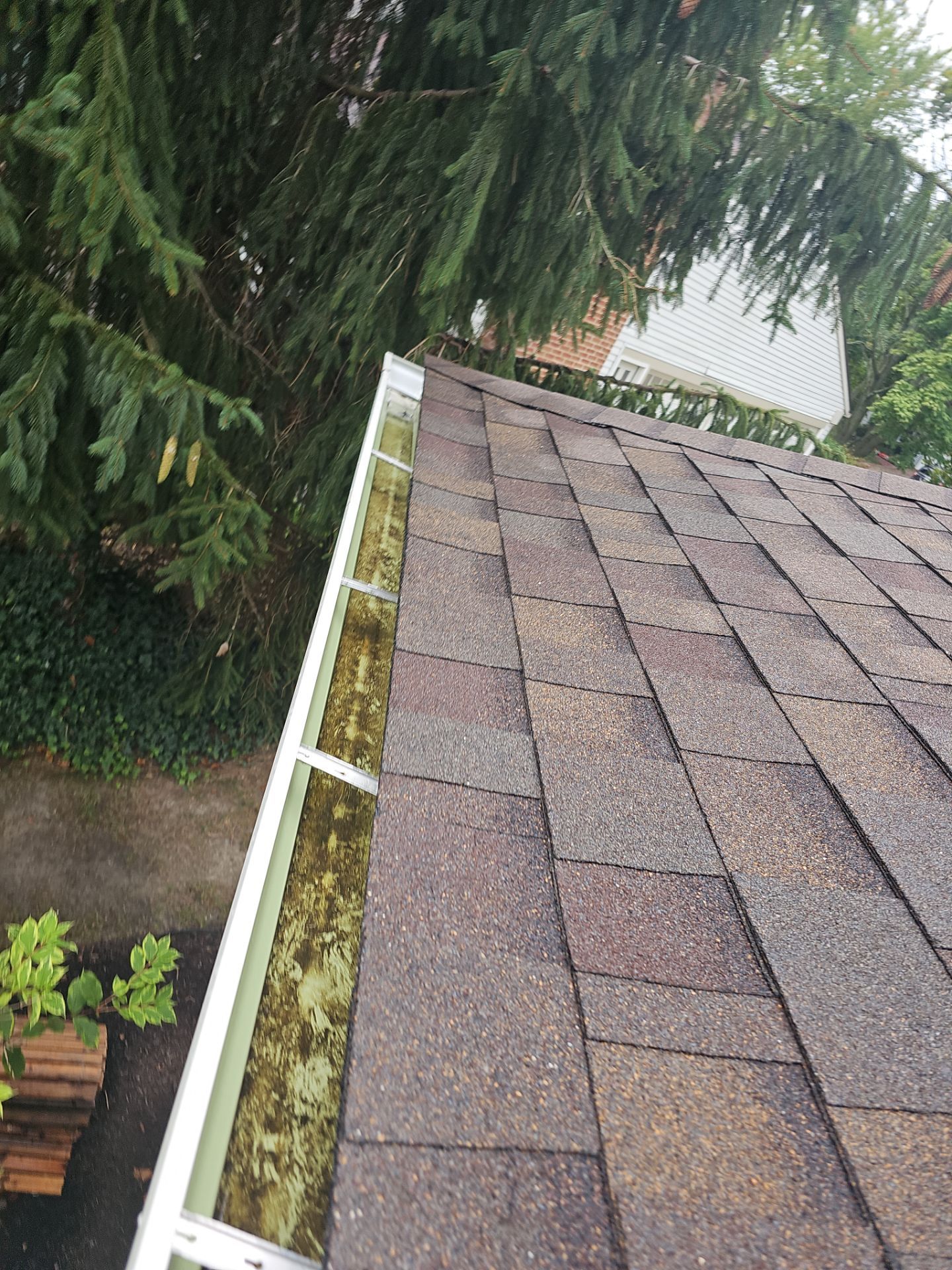 Rocky River, Ohio Siding & Roofing installation  by Pine Ridge Roofing LLC