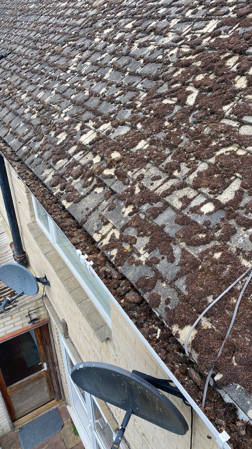 Roof Clean - Moss Removal using Honda 15lpm Low Pressure Washing Machine by Ges Exterior Cleaning ltd