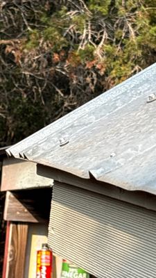 Metal roof edge with trees in background