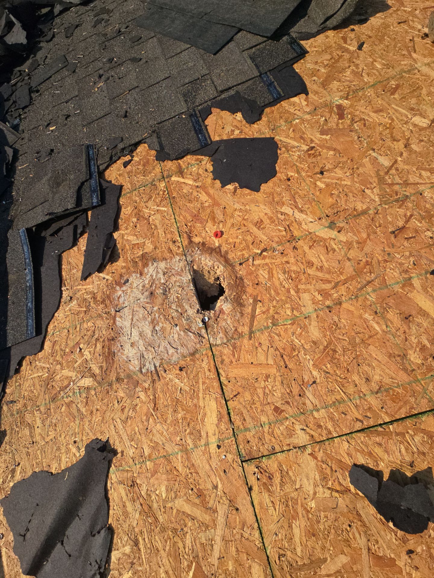 Cole- Project Portfolio  by Honeycomb Roofing and Exteriors