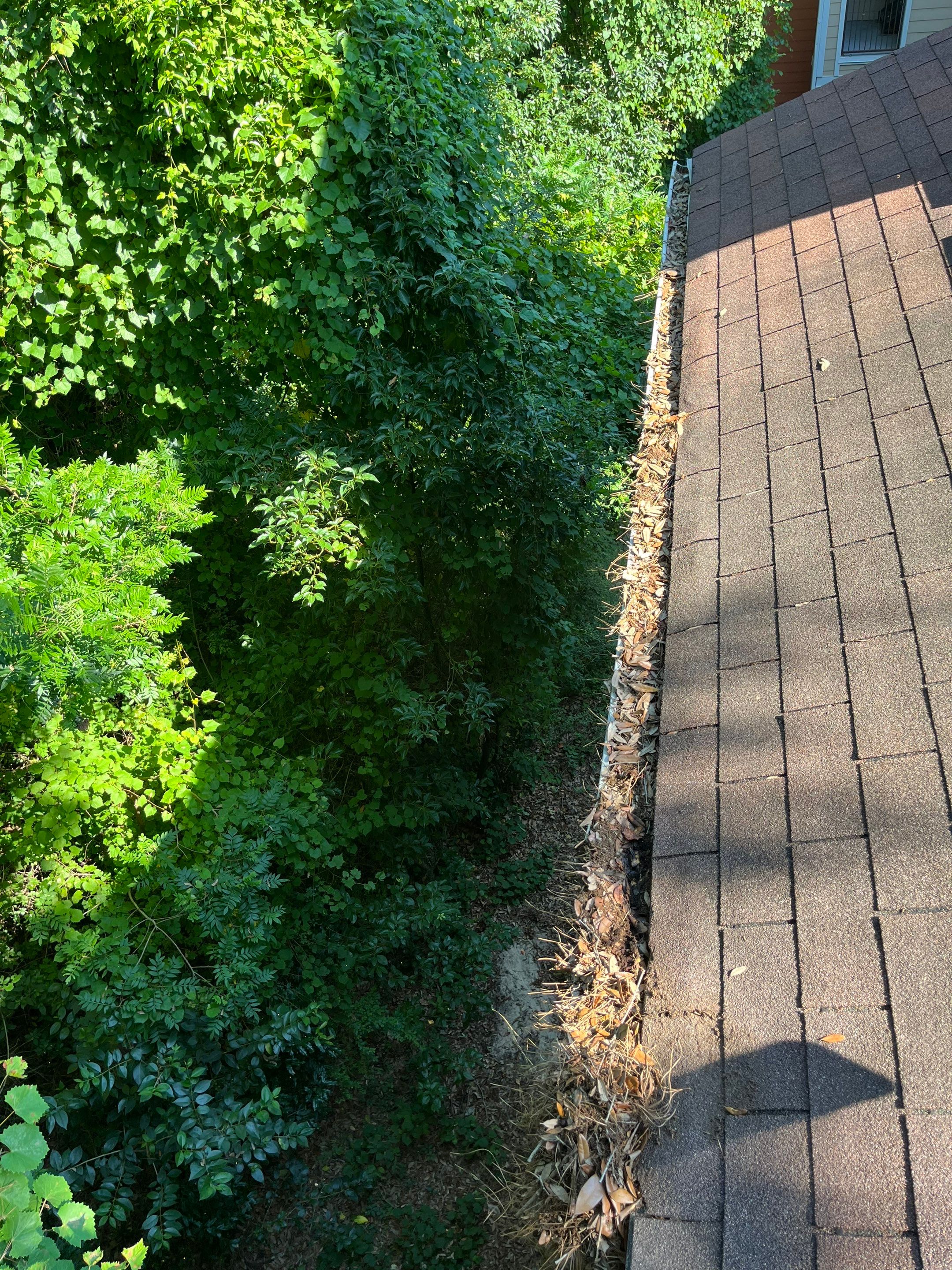 Commercial gutter cleaning Tallahassee, FL before photo with filled gutters