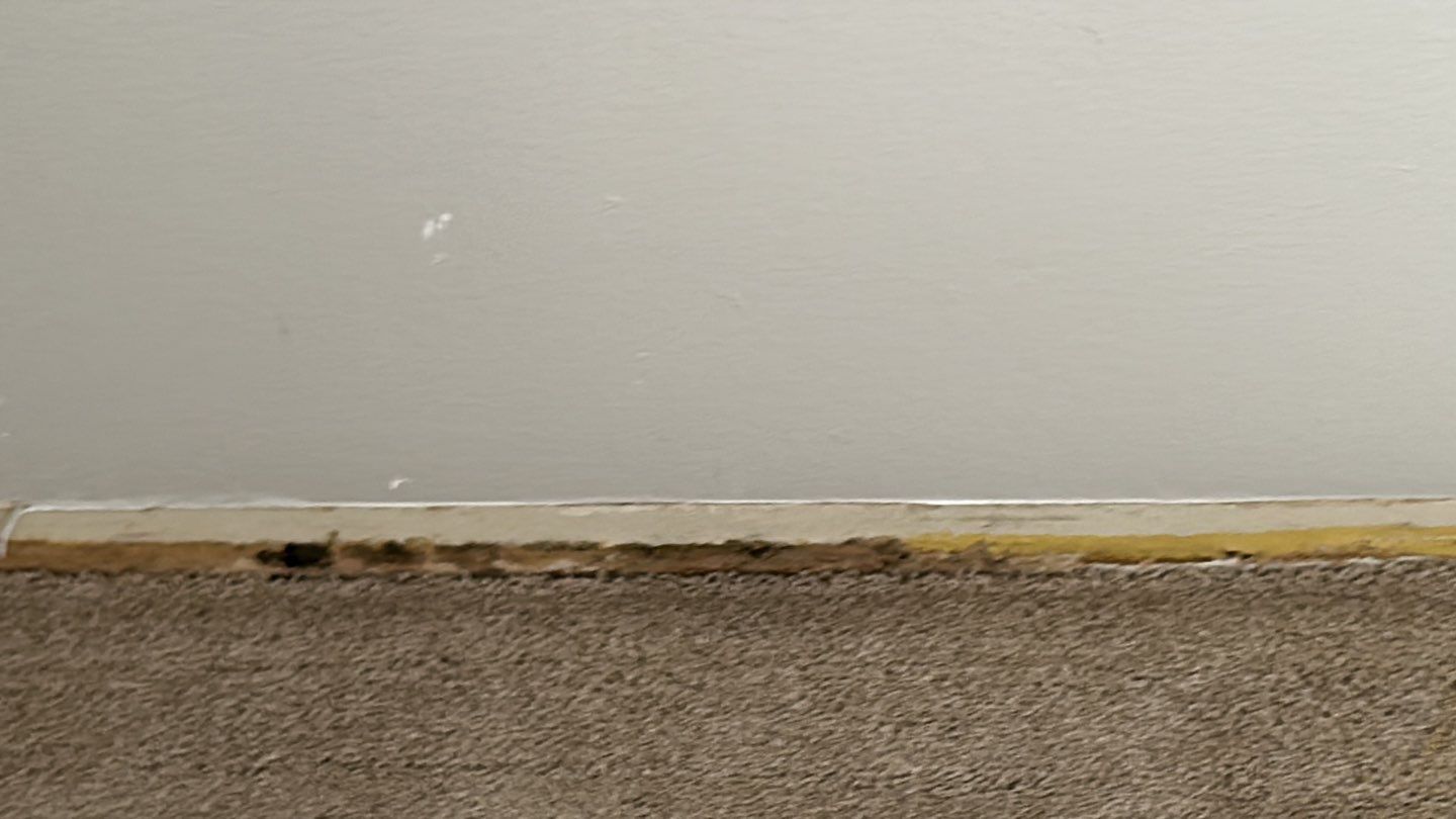 Mold Damage Repairs by Accountable Home Services