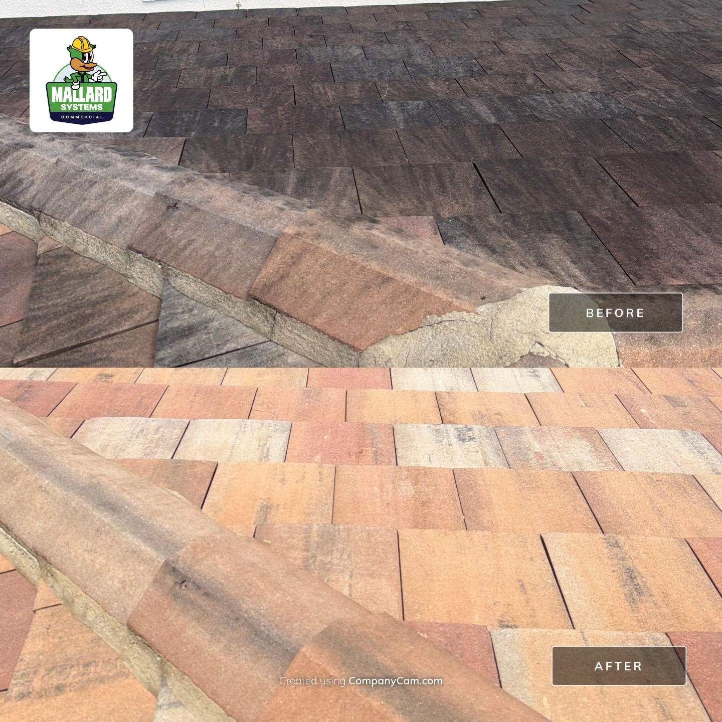 Residential Tile Roof Cleaning in Orlando by Mallard Systems