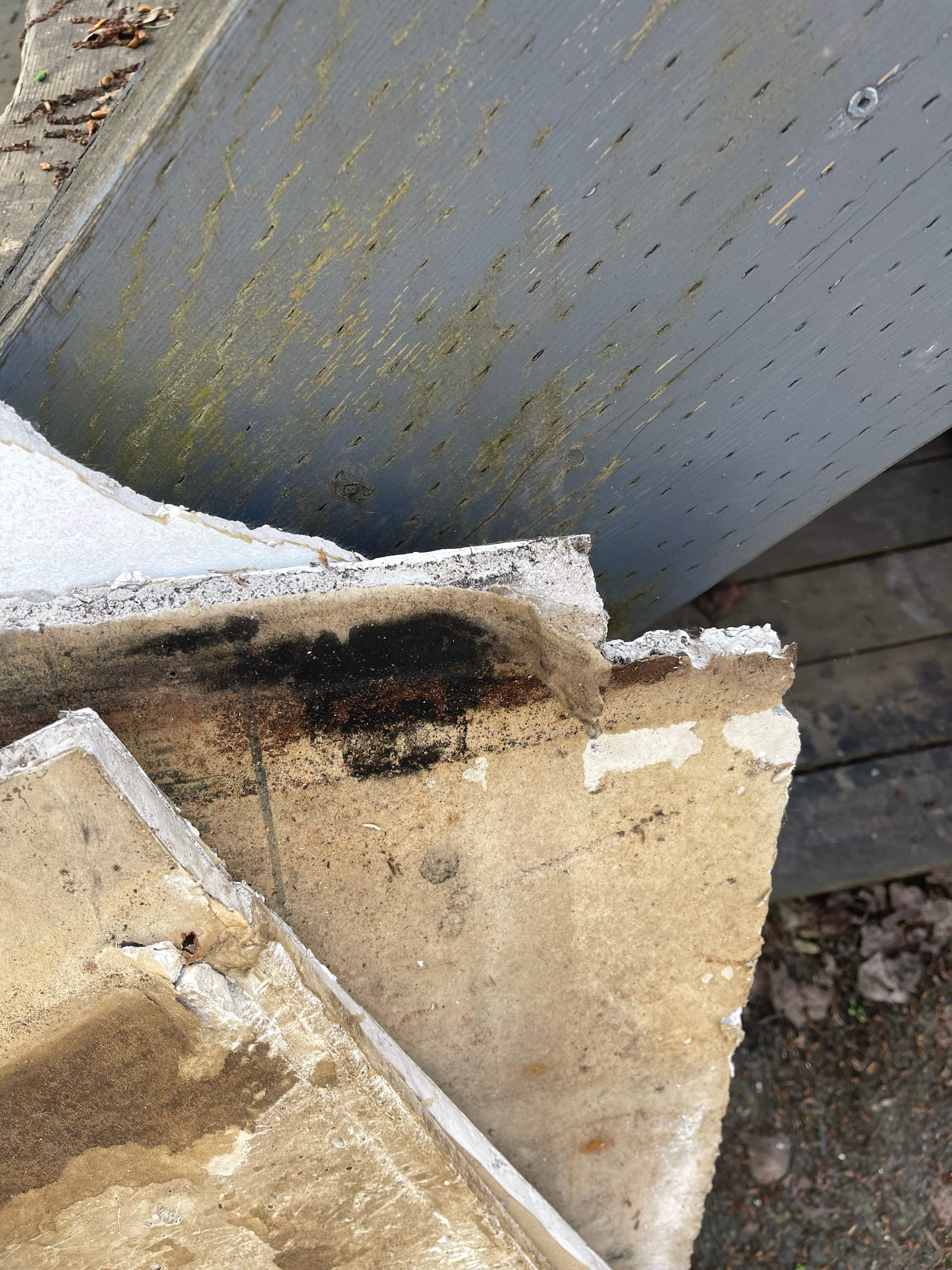 Coquitlam full Renovation Project by YVR Construction Group