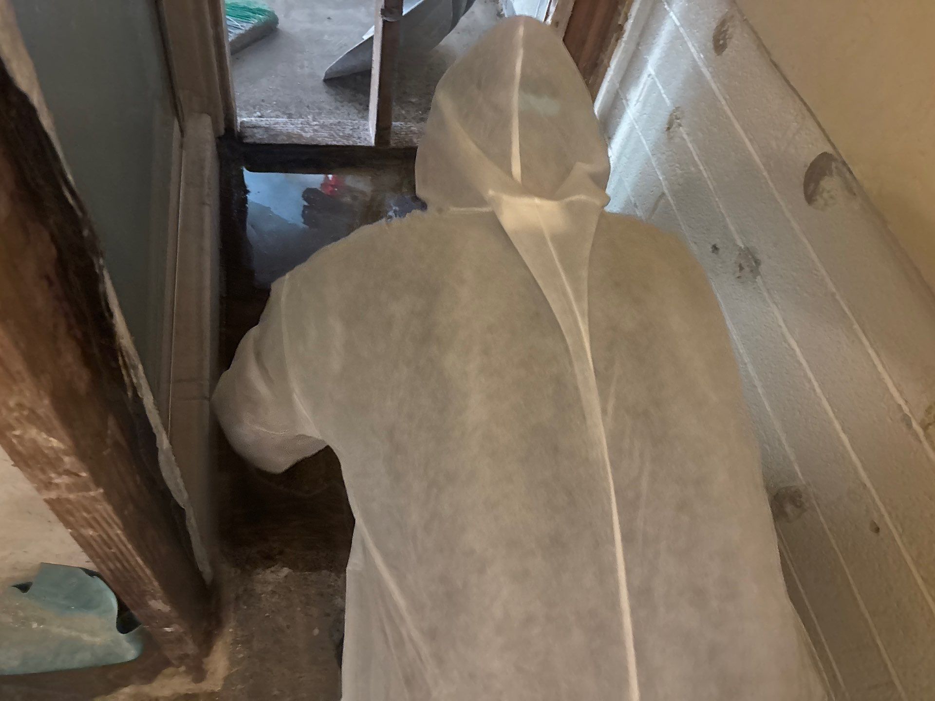 Project in Phoenix, AZ - Asbestos Drywall and VCT Flooring  by Desert Valley Abatement, LLC