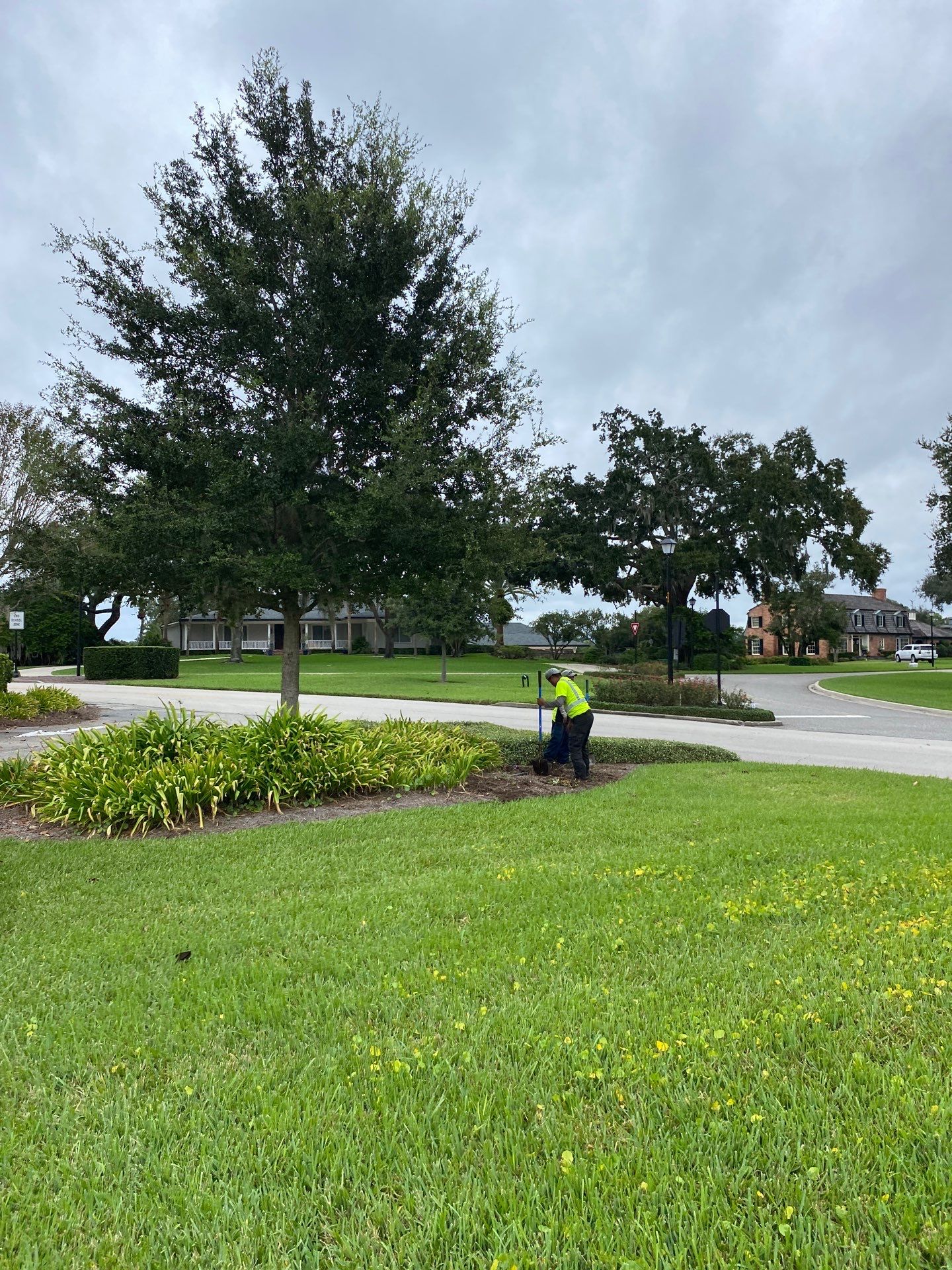Deerwood Community | Island Landscape Replacement by ProGreen Services