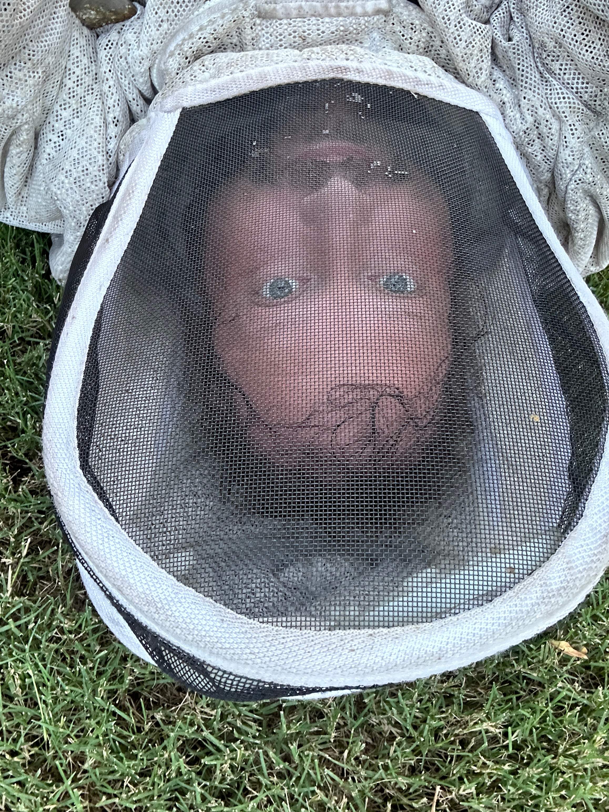 Wina-tree-go by Rockwall Honey Bee Company