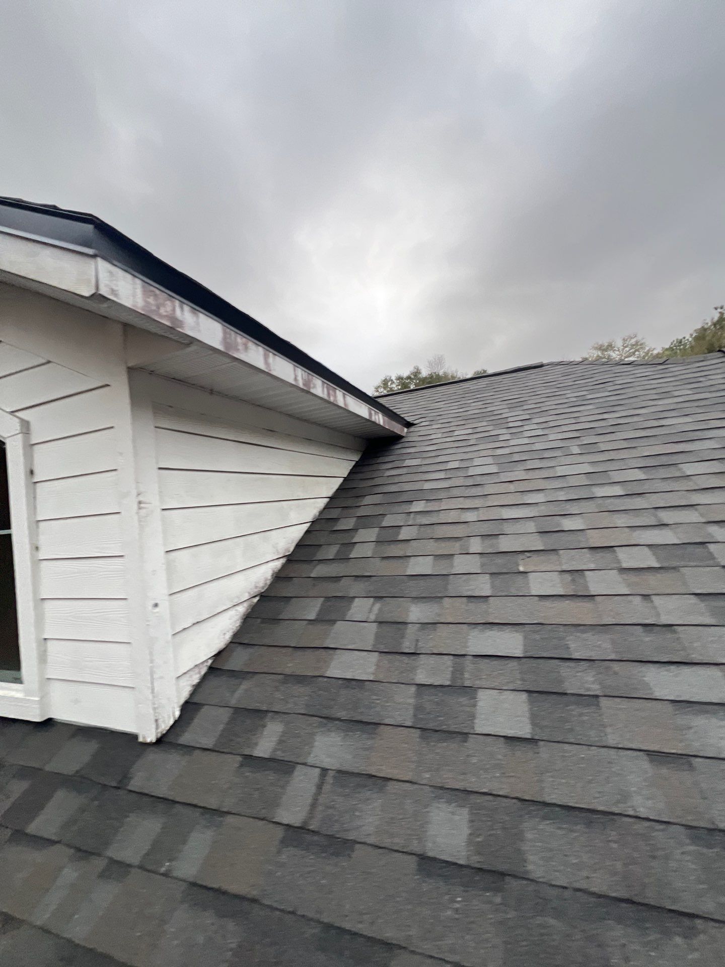 New Newberry Asphalt Shingles by Brehm Roofing