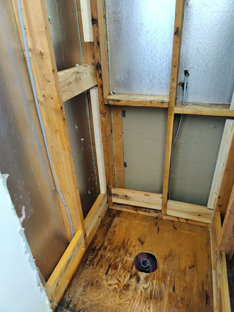 Mold Remediation  by Accountable Home Services