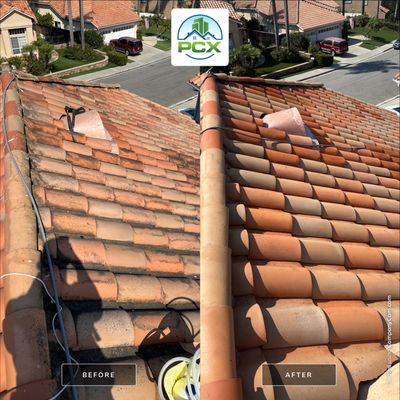 Realtor Needed Roof Cleaned to Sell House - She Was Not Disappointed