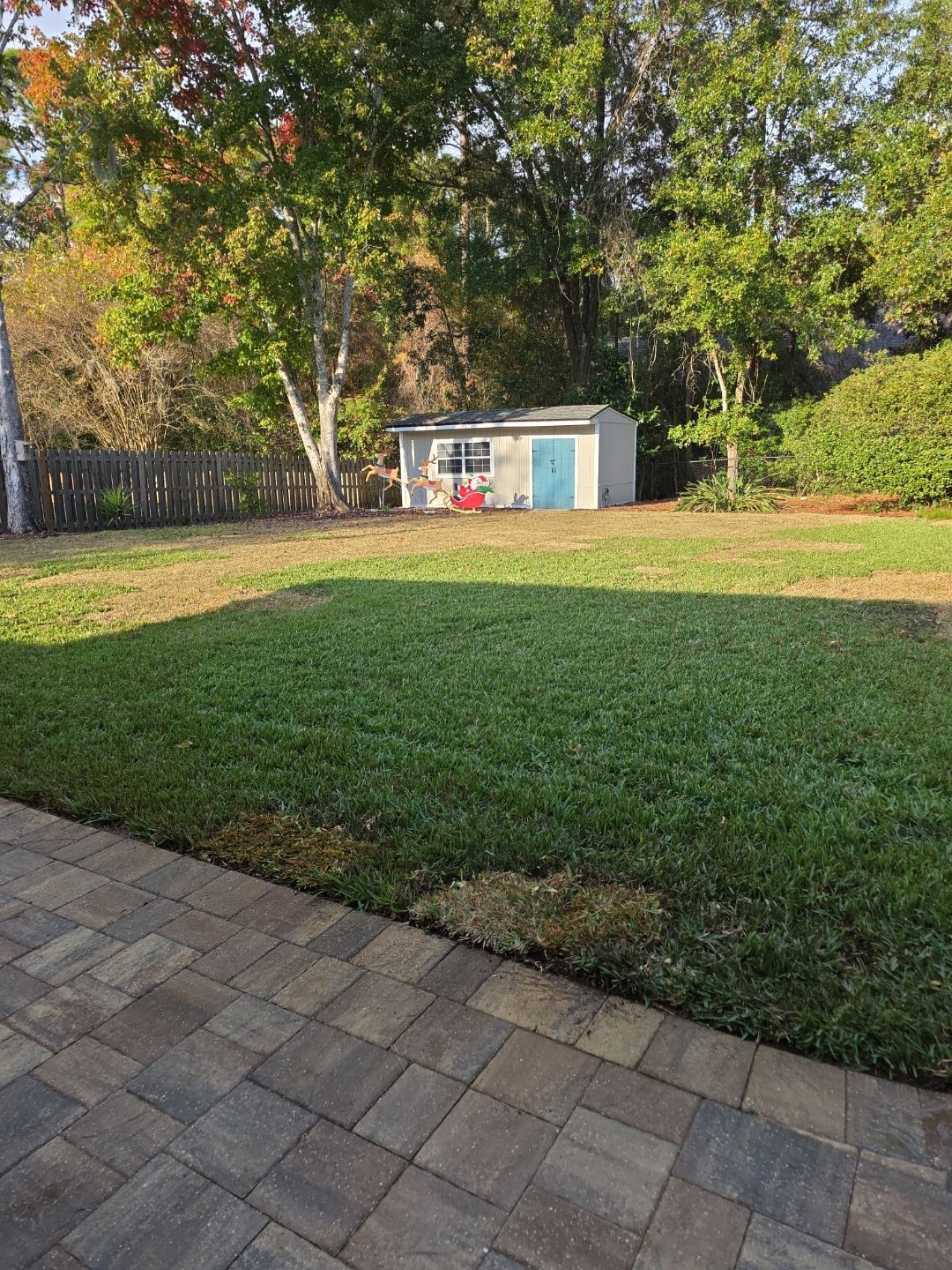 Deerwood Resident | Winter Sod Replacement by ProGreen Services