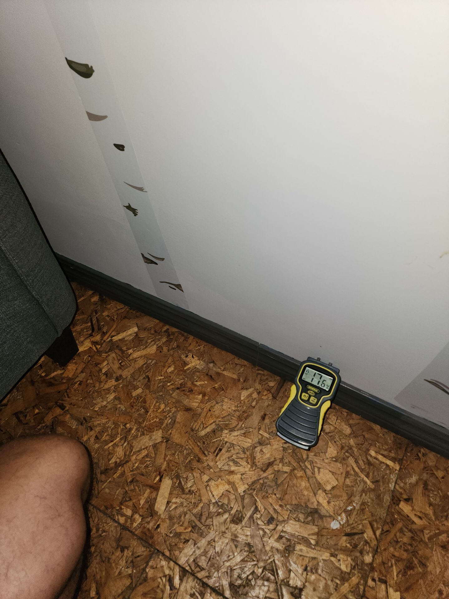 Post-Flood investigative Inspection by Eco-Nature Construction Inc.