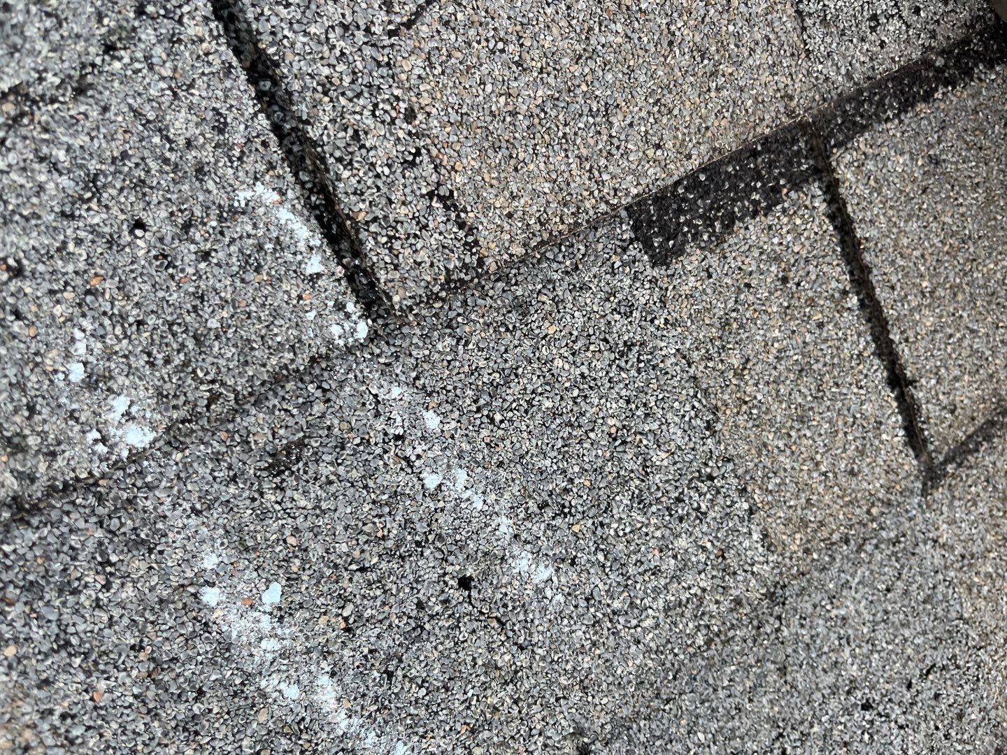 Remove and Replace Roof by Carolina Trophy Roofs