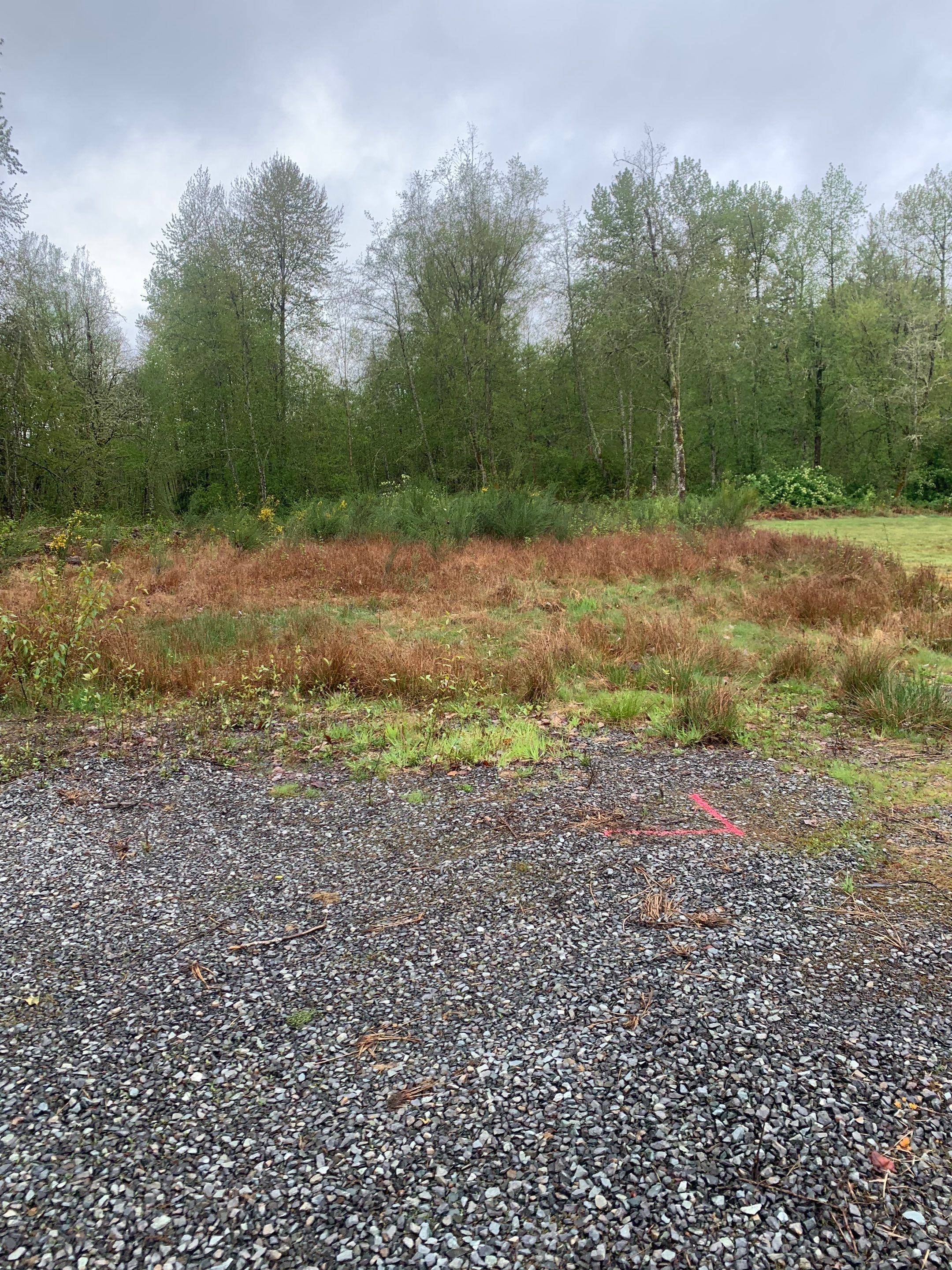 Monolithic Concrete Slab Foundation | Lake Stevens by Jireh Asphalt & Concrete Inc 