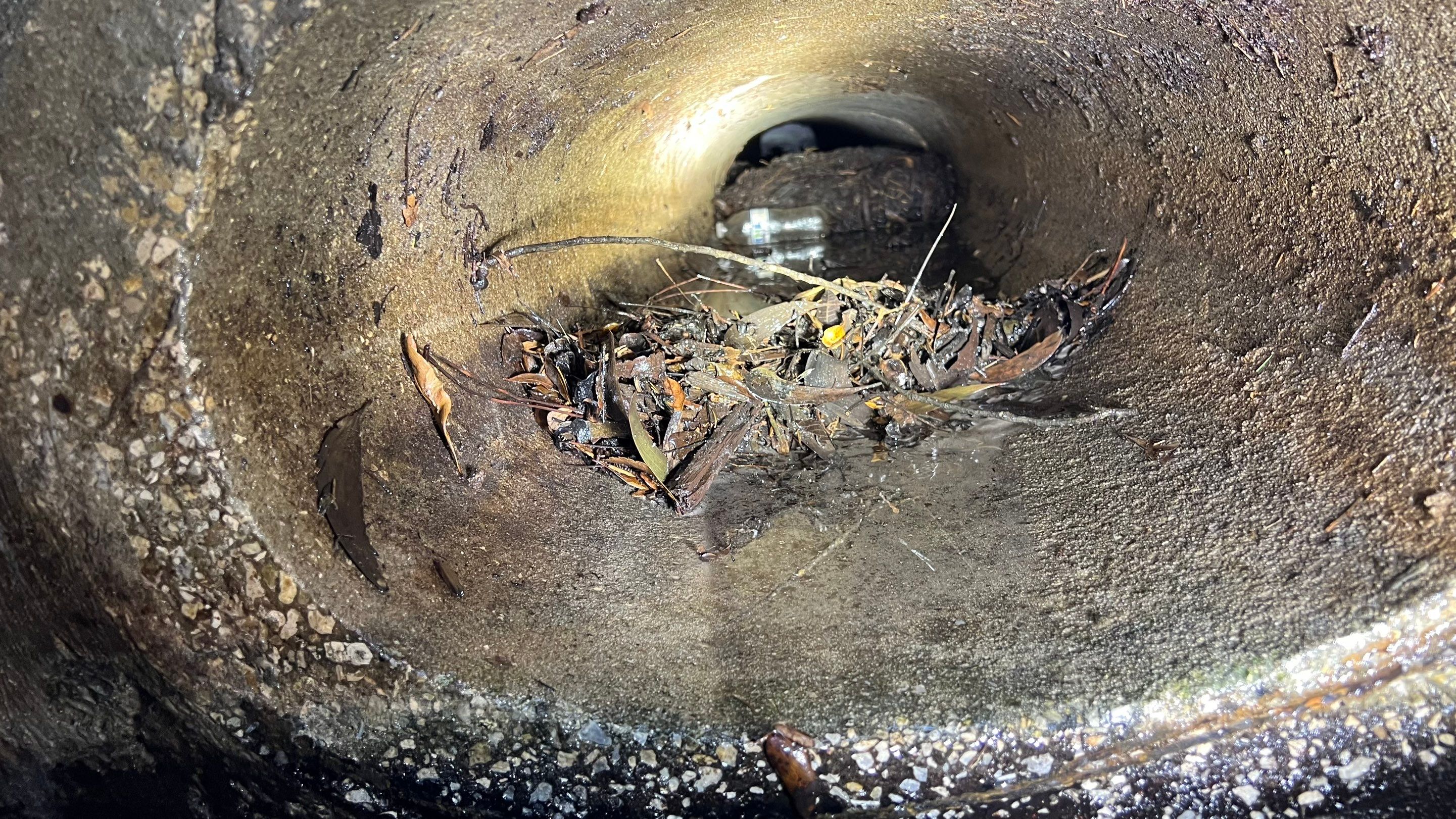 Naples Community Stormwater System Maintenance by APS Power & Water