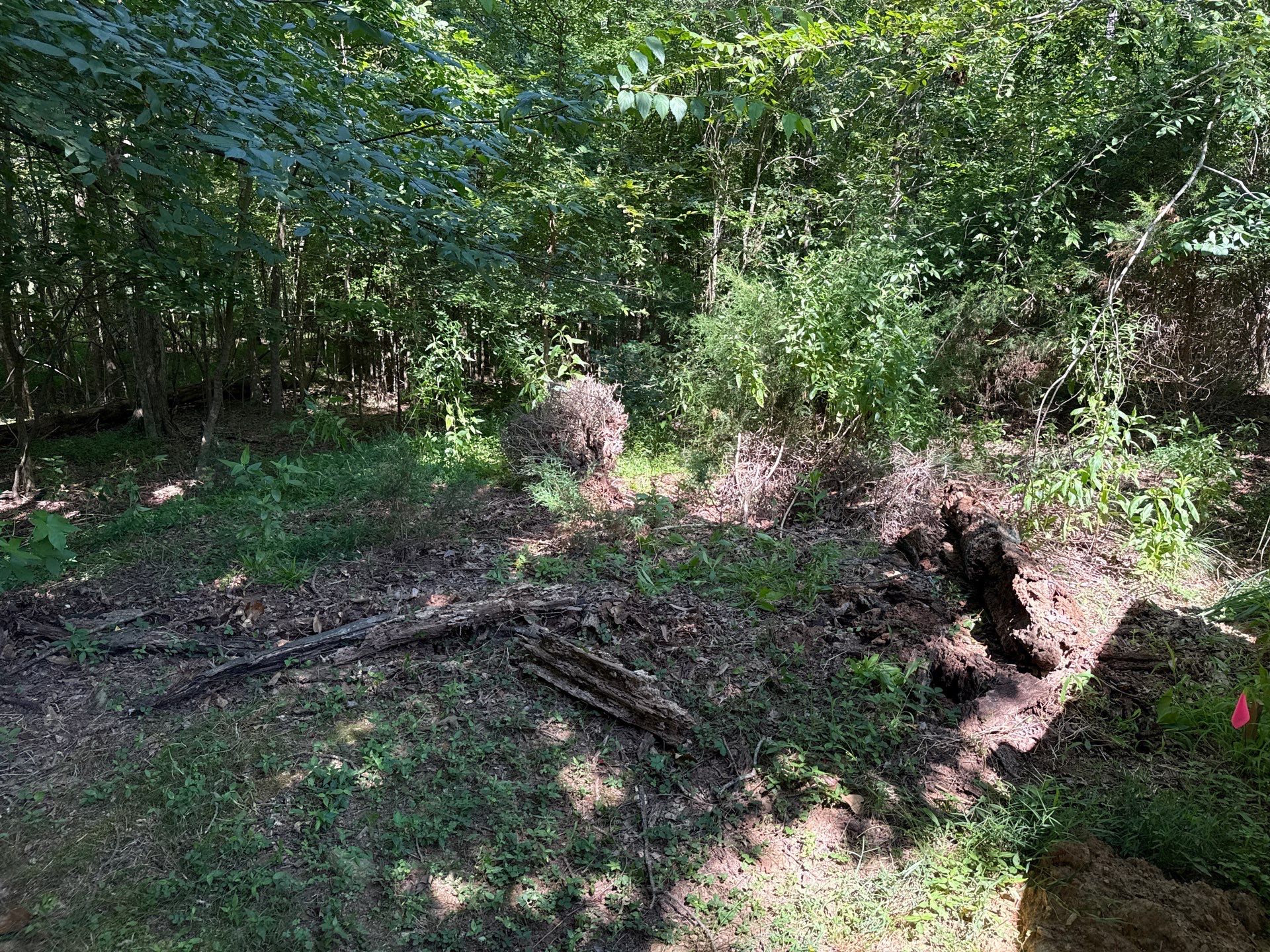 Project in Mint Hill by Badger Hauling