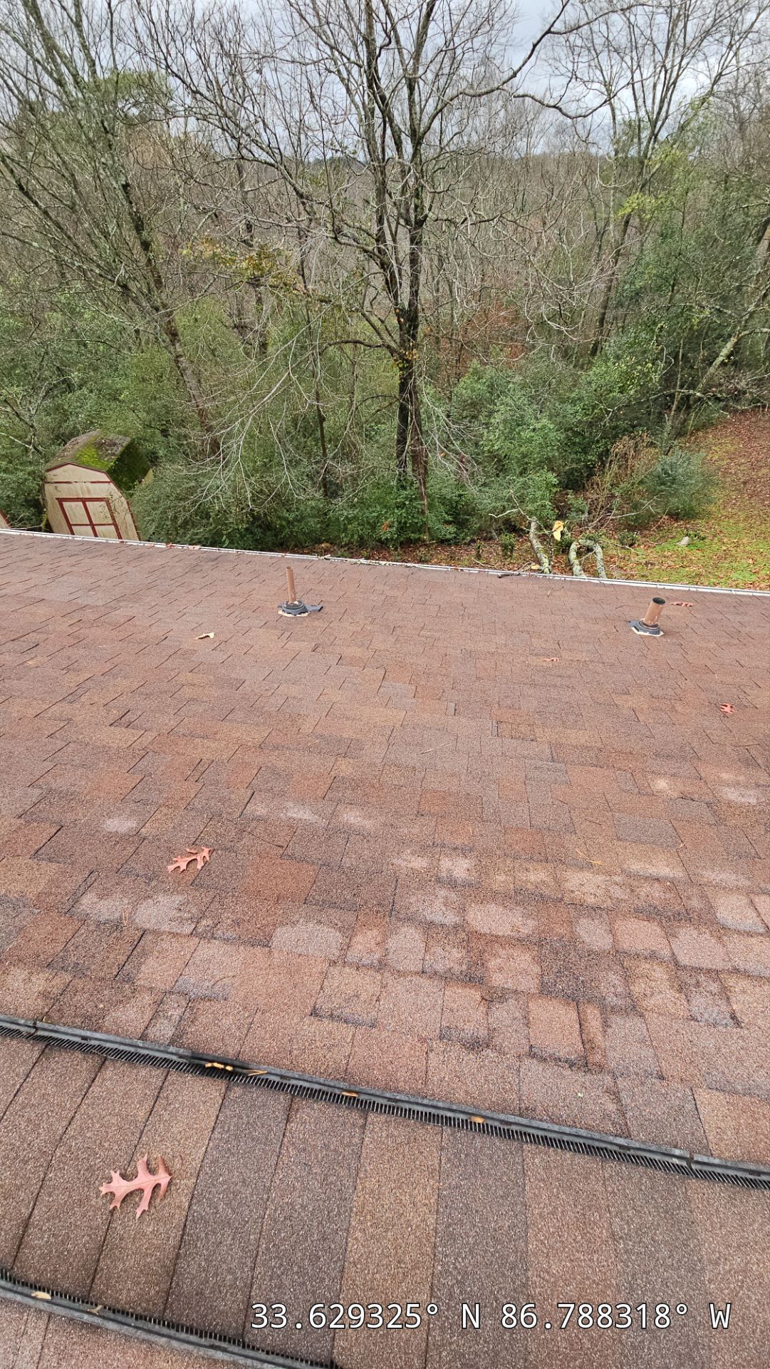 Roof Replacement (Barkwood) and Tree Removal in Birmingham  by The Roofing Dudes