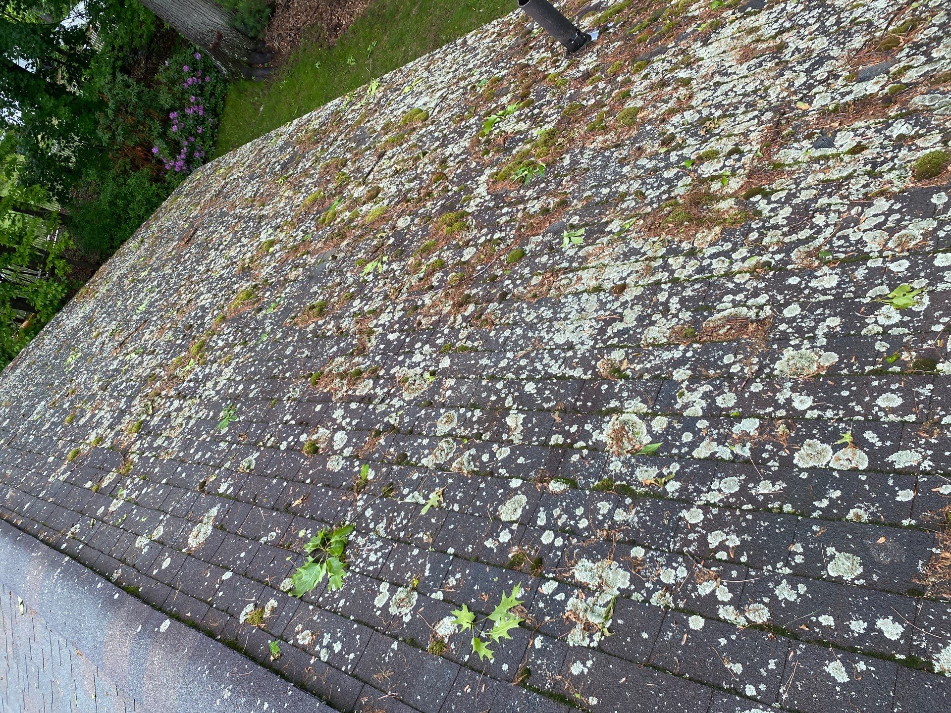 Roof & Exterior Renovation – Chelmsford, MA by Mighty Dog Roofing of Greater Middlesex County