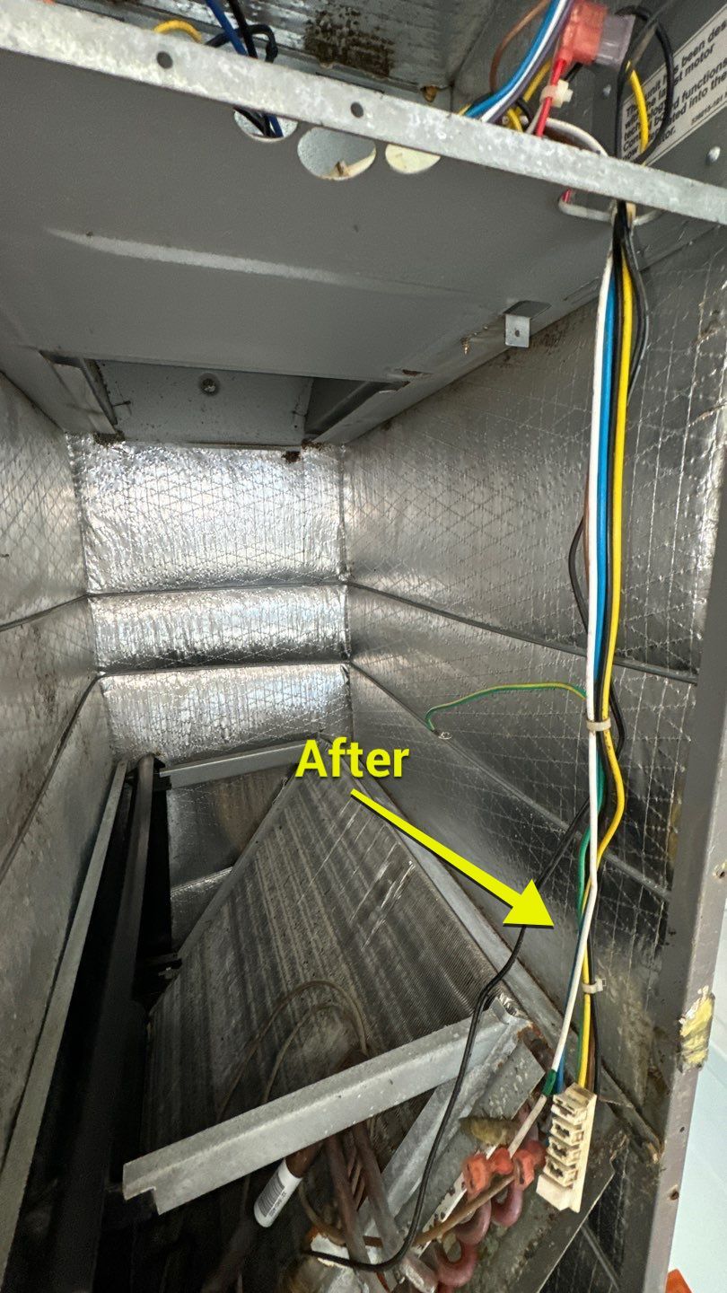 Air Duct Cleaning in Orlando by Hygienic Air, Inc
