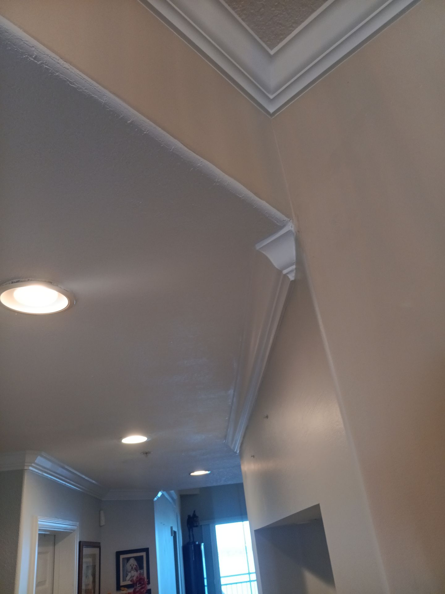 Water And Mold Restoration by Ampm Restoration Services