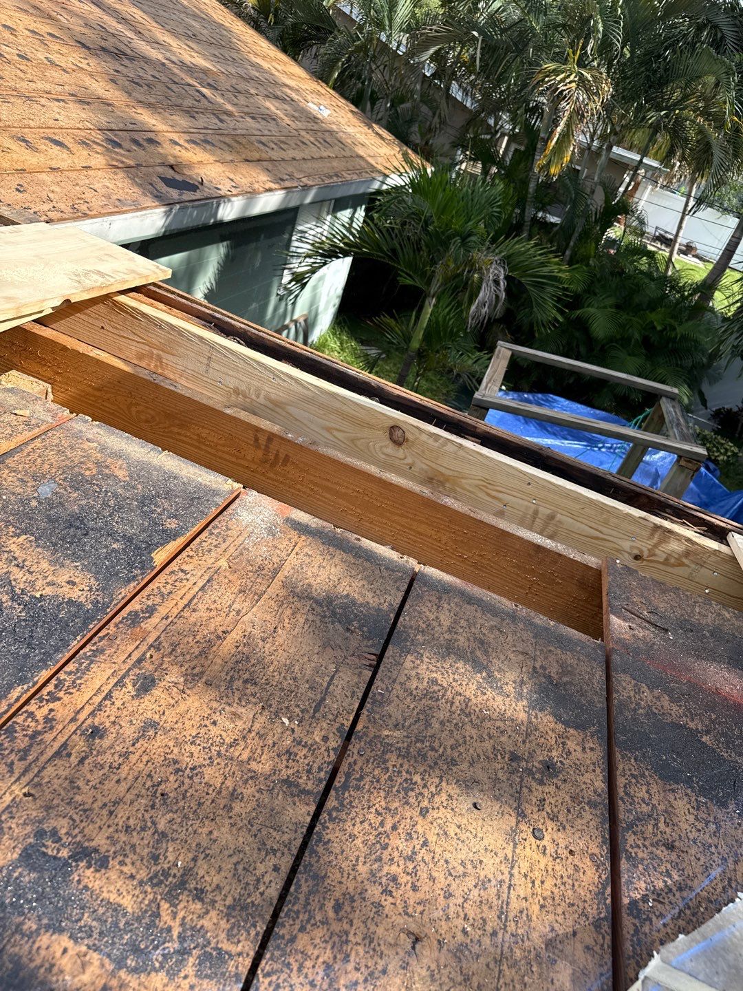 Project in St. Petersburg 33710 by Mitchell Roofing Company LLC 