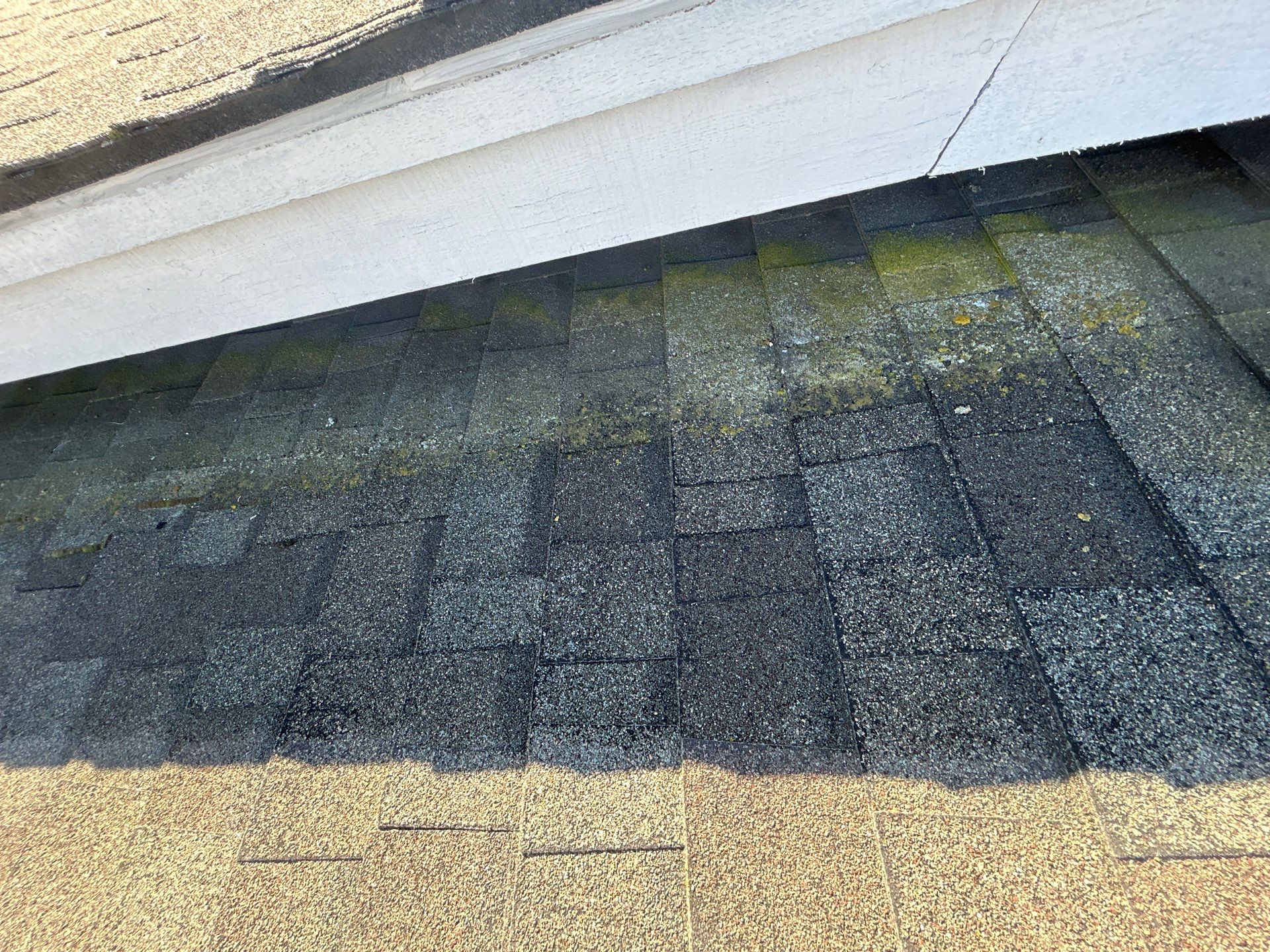 Roof Rejuvenation using Roof Maxx Treatment by Roof Maxx of Folsom