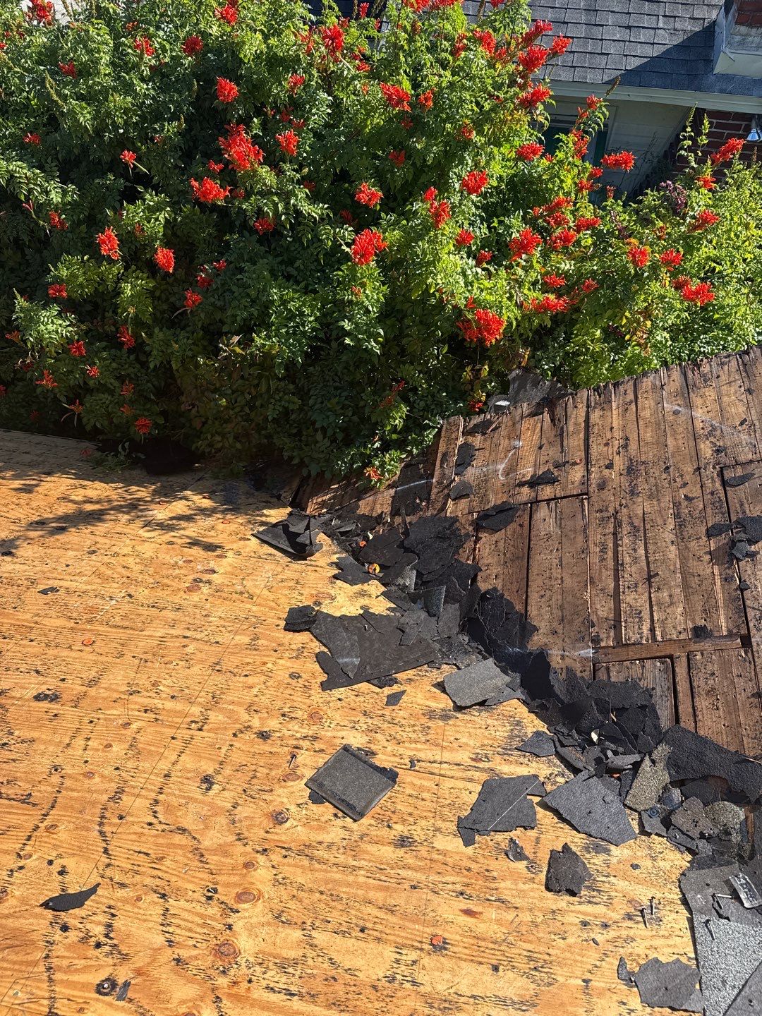 Project in St. Petersburg 33704 by Mitchell Roofing Company LLC