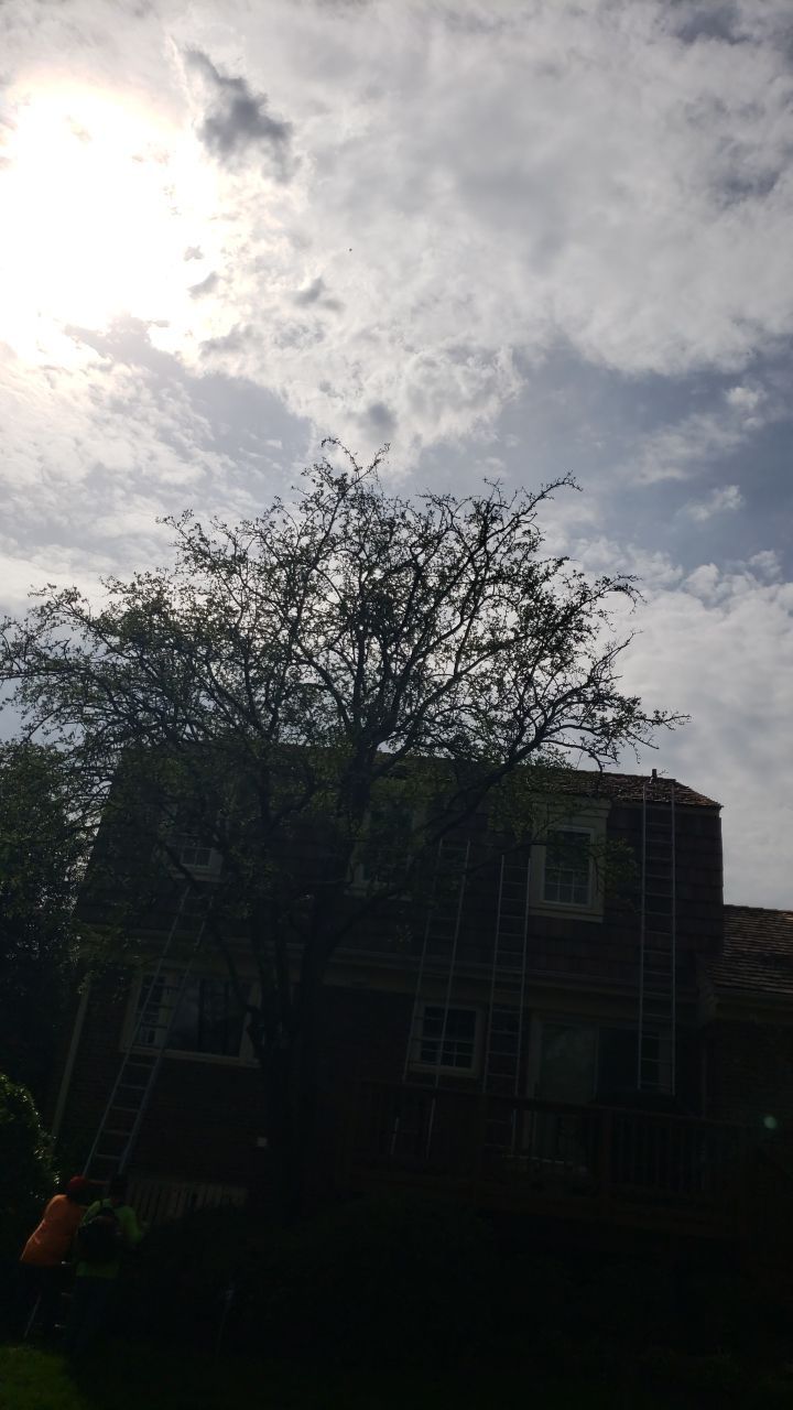 McLean Cedar Shake Roofing Project  by RM Banning, Inc.