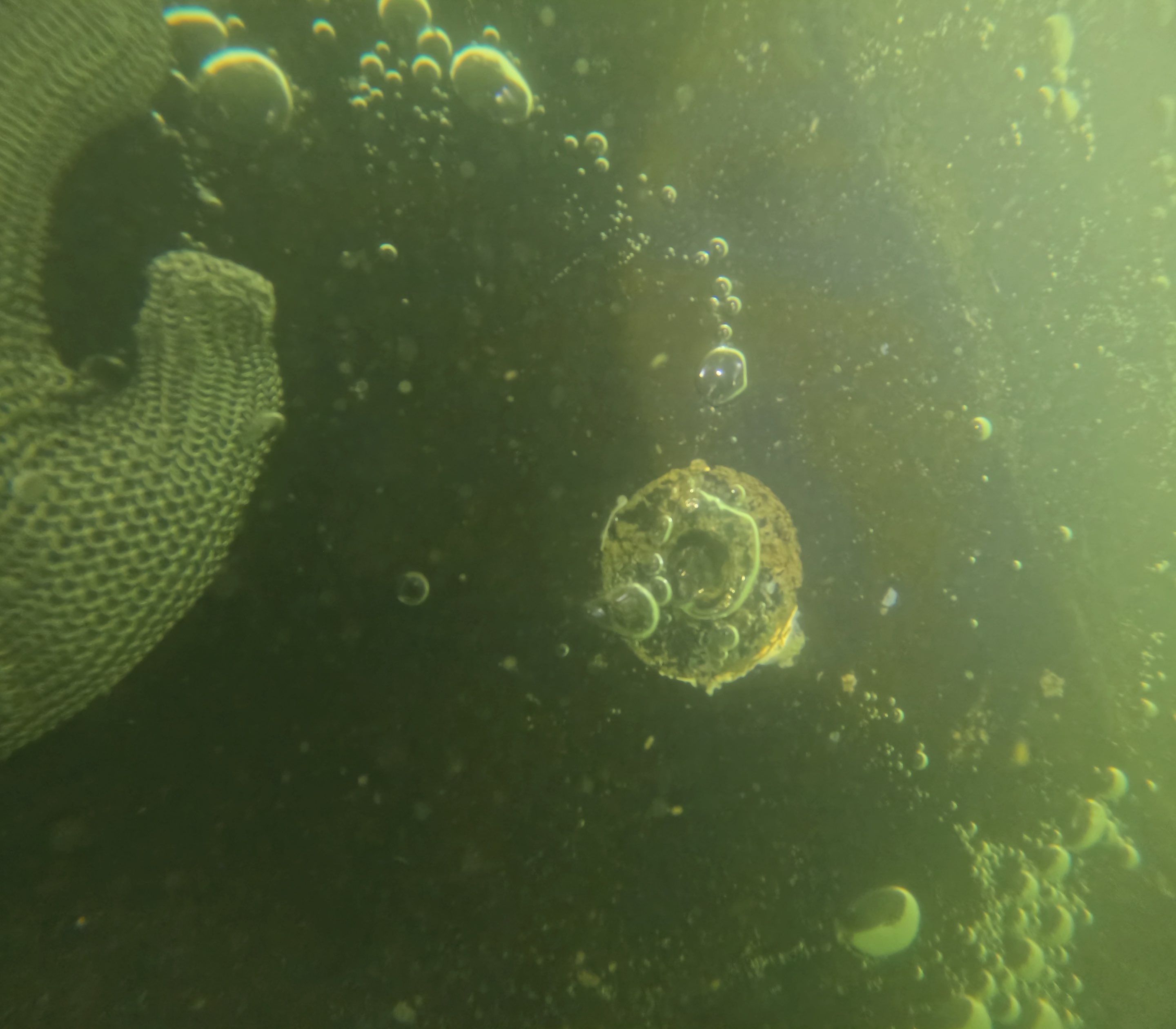 Project in Marco island, FL by Florida Hull Cleaning 