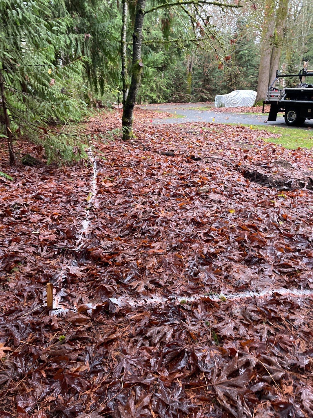 Asphalt Driveway Repair | Woodinville  by Jireh Asphalt & Concrete Inc 