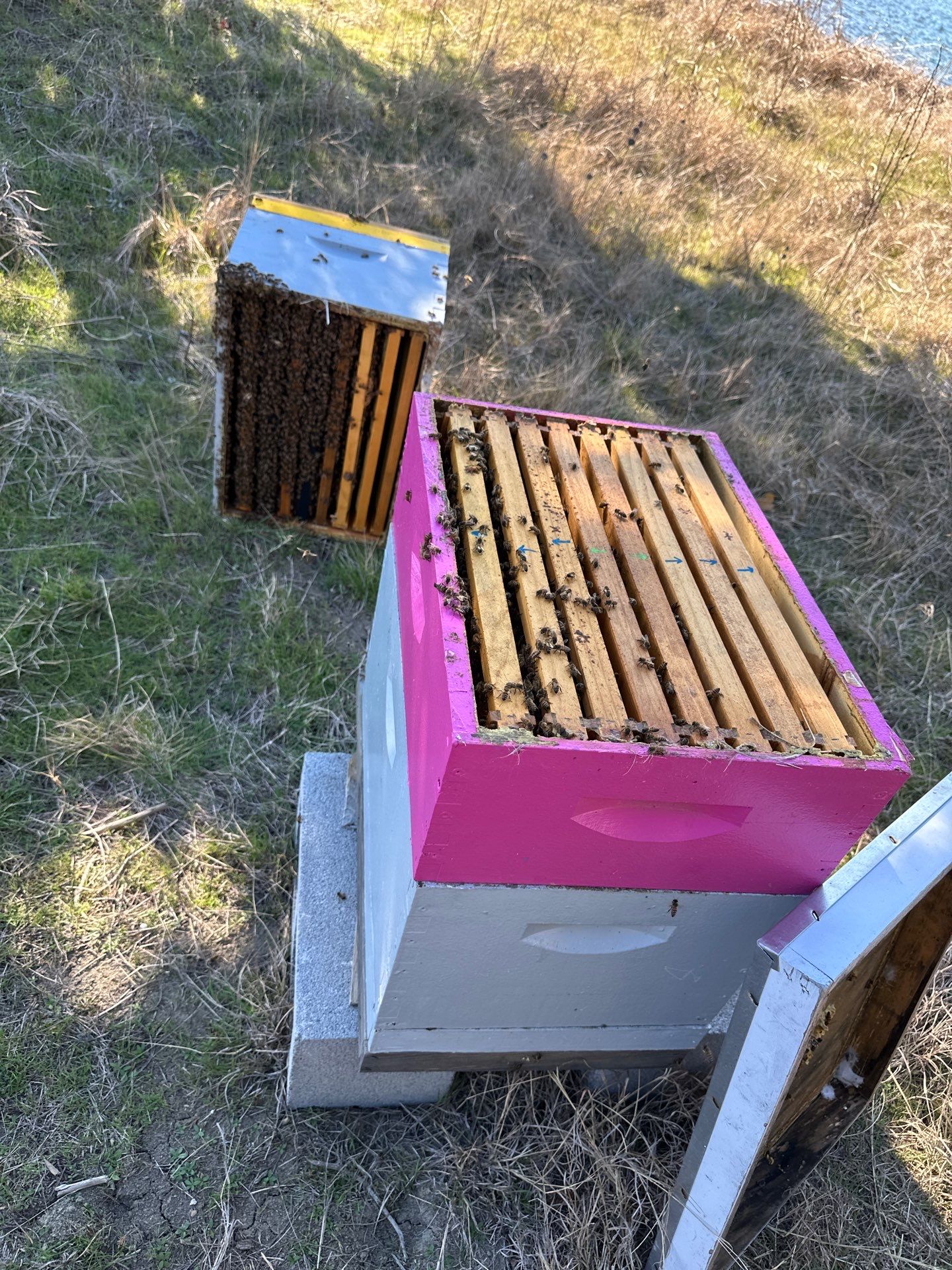 Rabbit Ridge Apiary by Rockwall Honey Bee Company