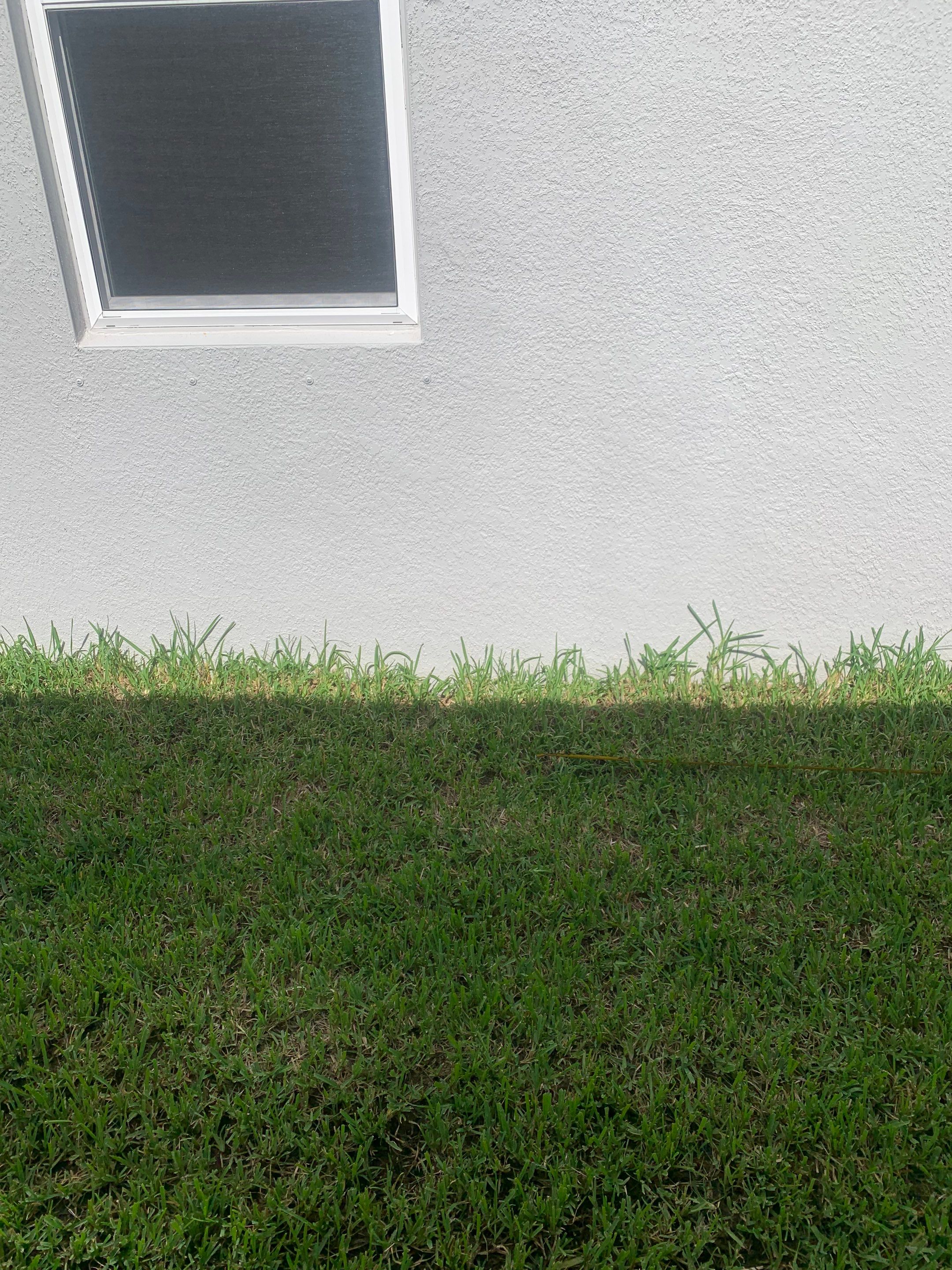 Vinyl Fence Installation using Vinyl Privacy Fence  by Asap fence and gates, LLC