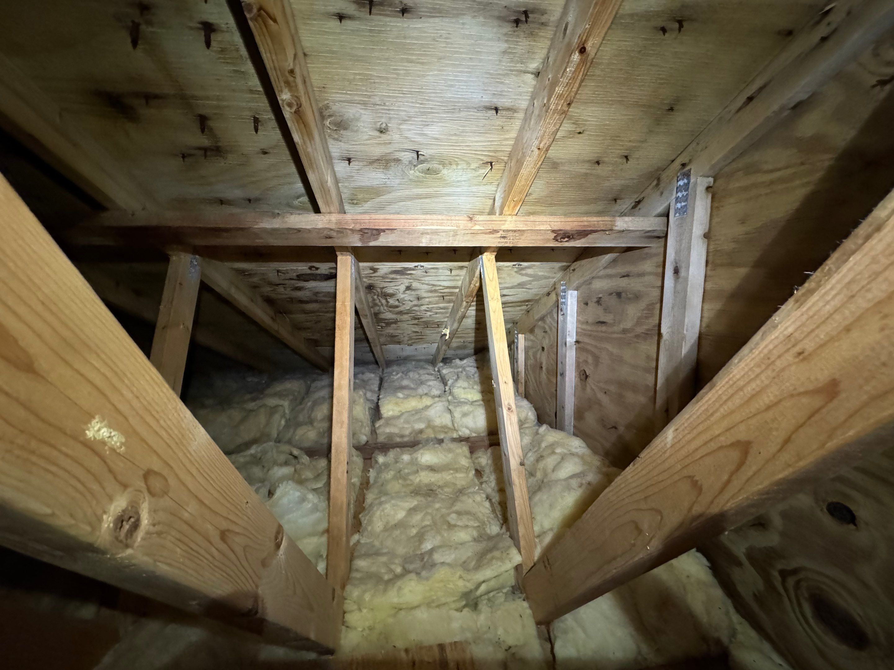 Attic & Sunroom Mold Remediation by Home Guarantee, LLC