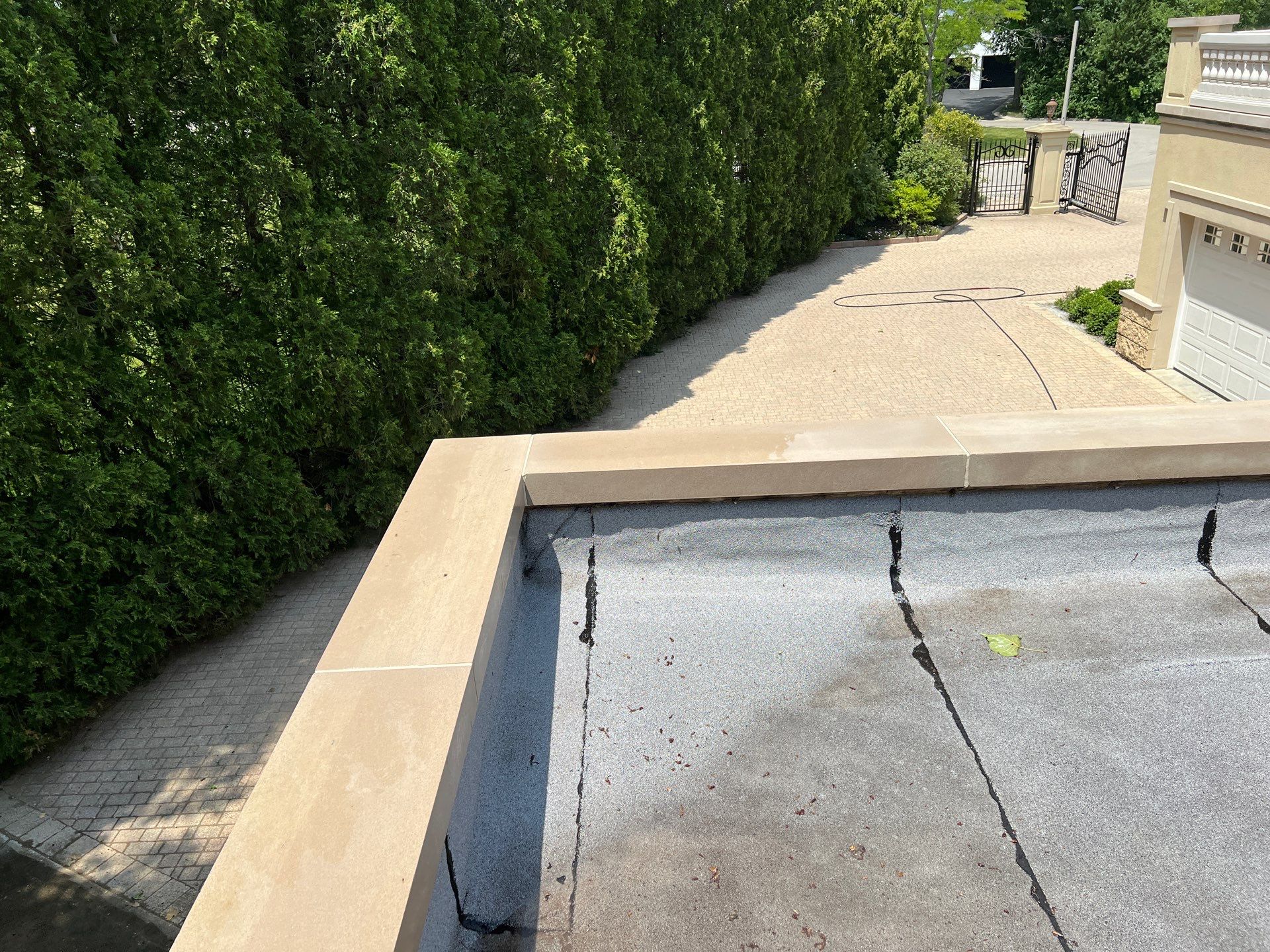 concrete cleaning using Algaecide, soft wash soap by Northern Power Washing LLC.
