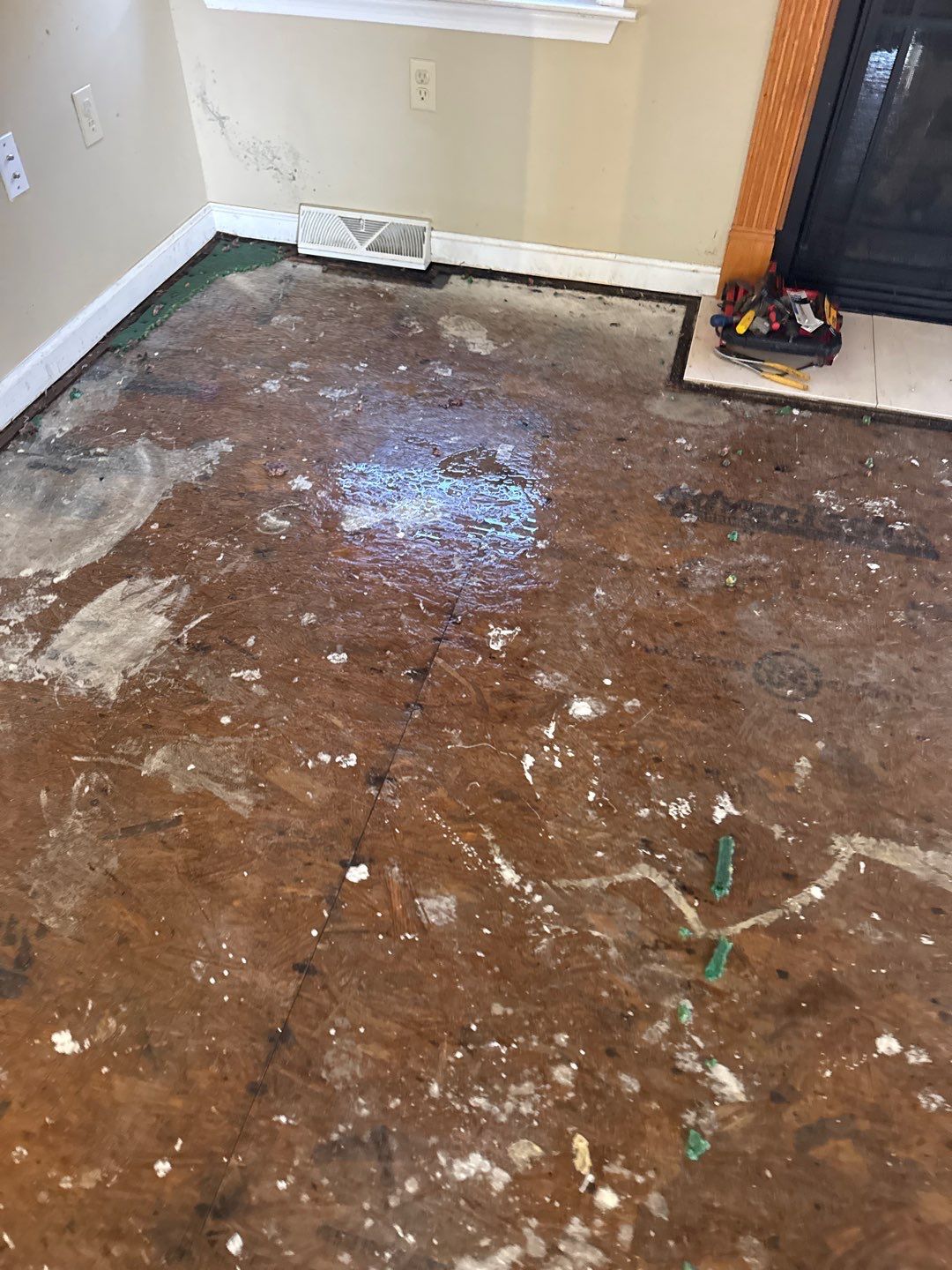 Water Damage& Mold Remediation Project-Dover, DE. by Healthy Home Solutions