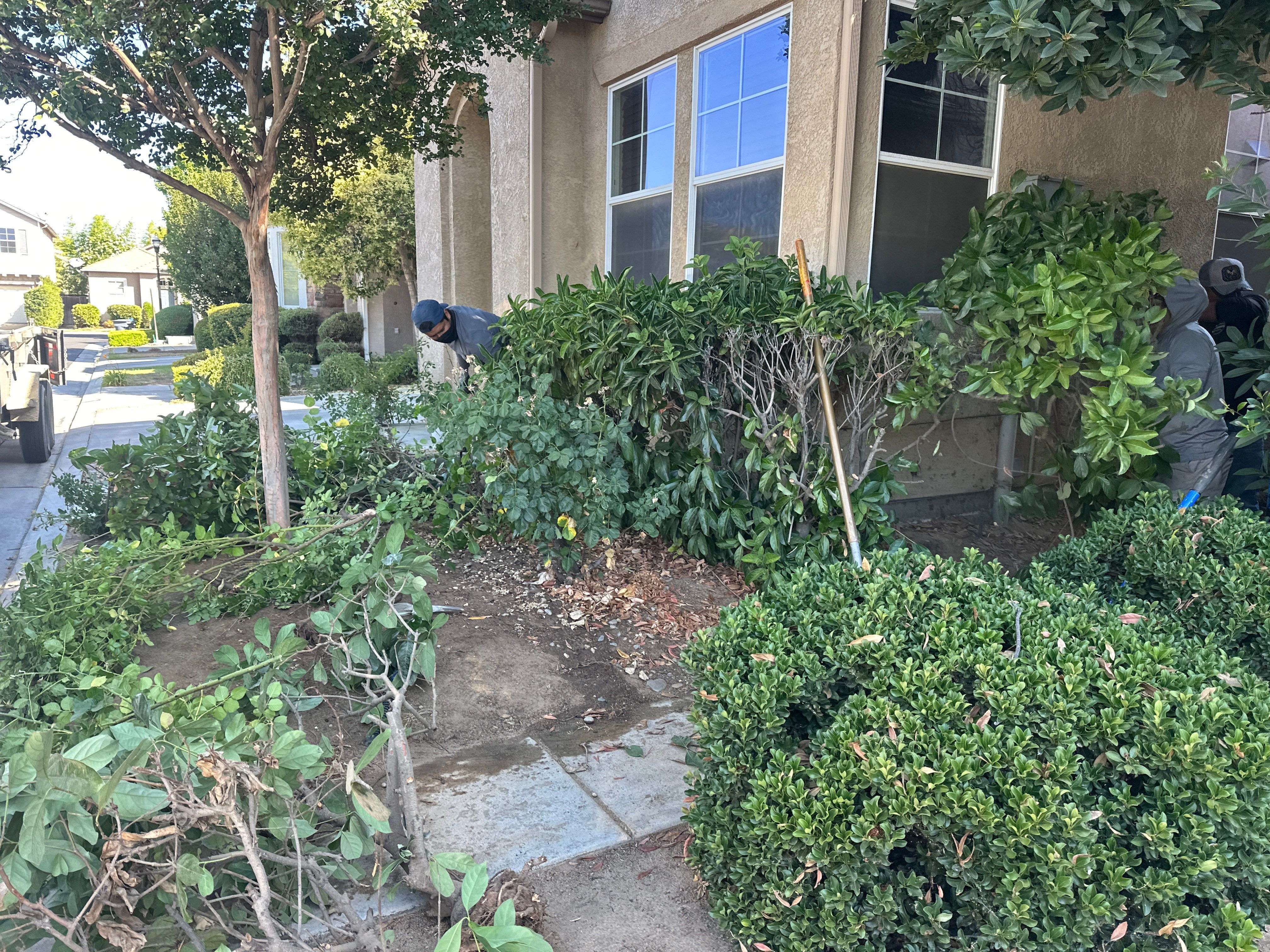 SYNTHETIC GRASS IN FRESNO CA by SAVING PRO LANDSCAPING INC