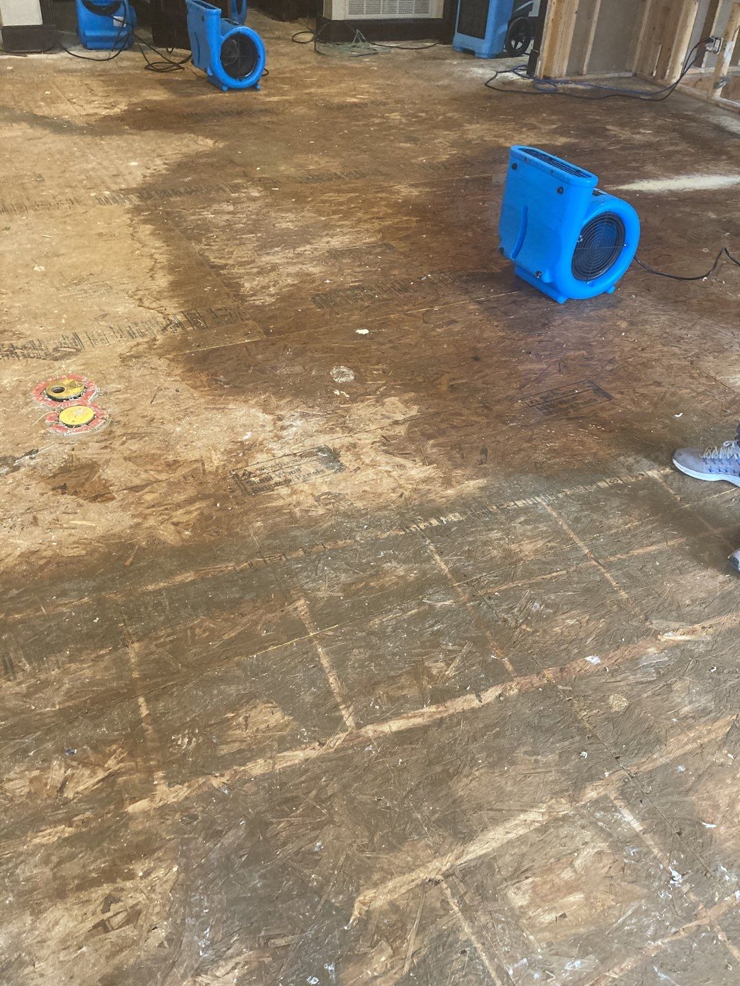 Water Damage Throughout Main Floor, Basement, and Crawl Space by Accountable Home Services