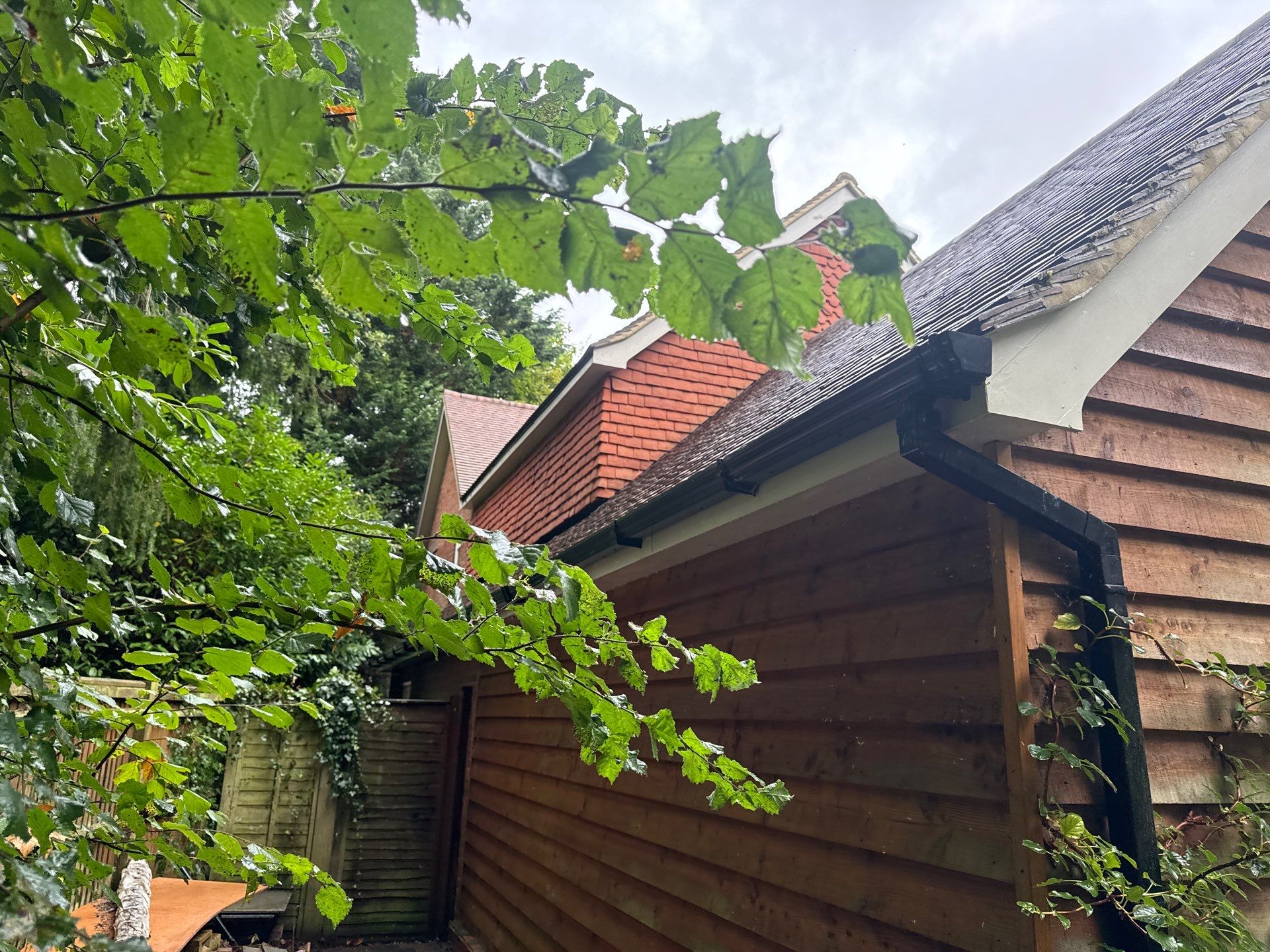 Roof Cleaning by Ges Exterior Cleaning ltd