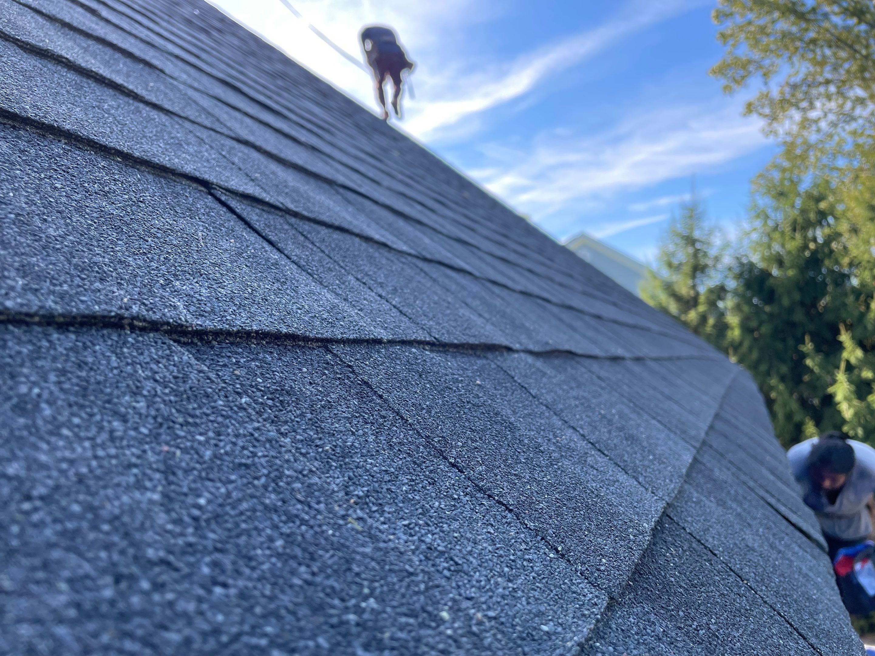 New Addition to Home using Wood by Home Concepts Construction