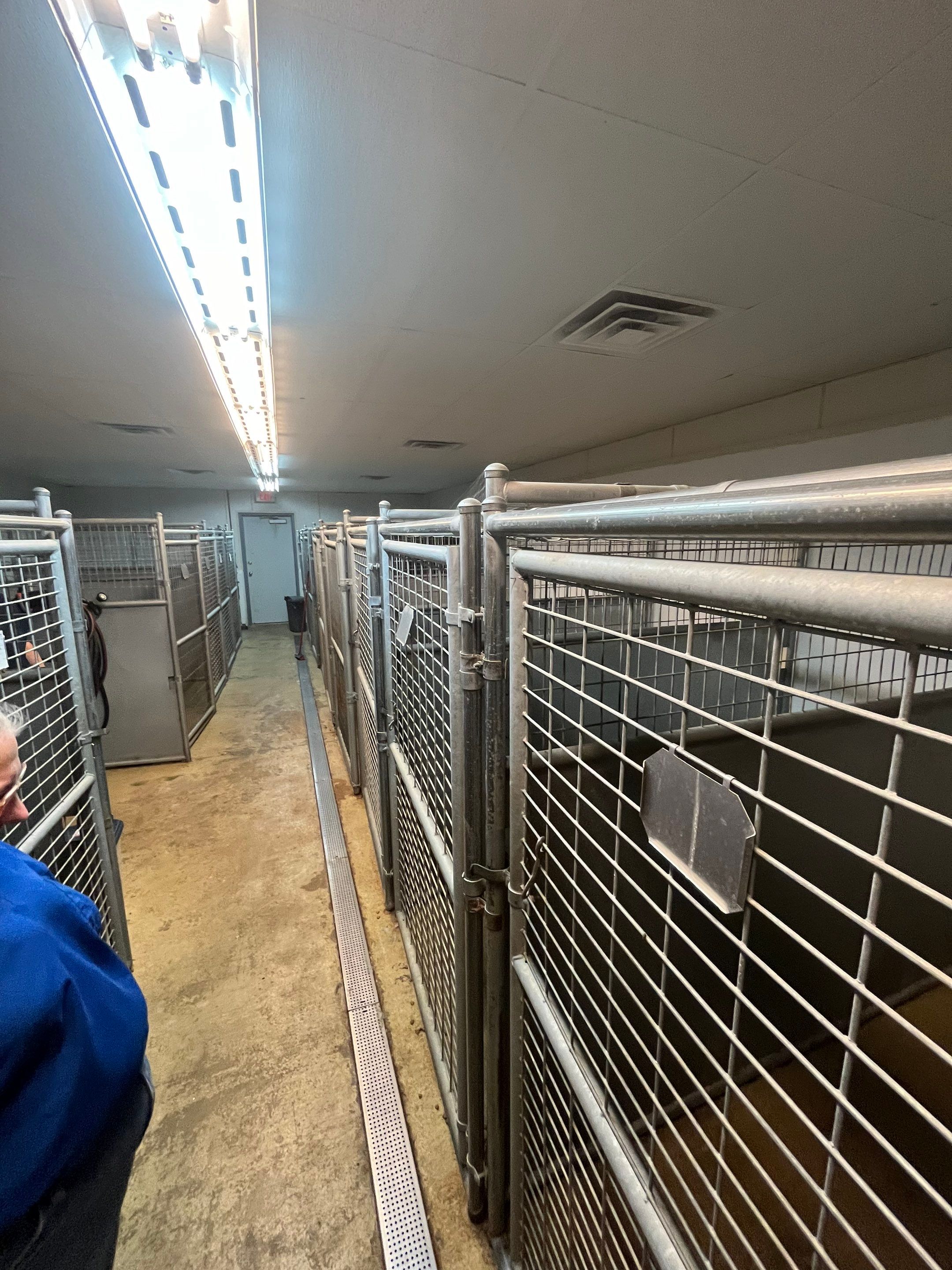 Durable Commercial Concrete Coatings for Brandon Valley Veterinary Clinic by Select Painting, Coatings & Garage Cabinets