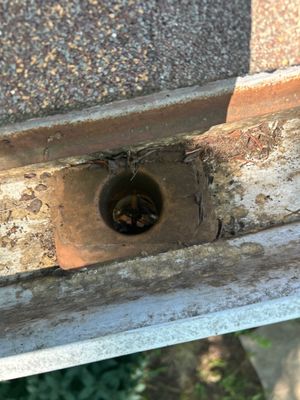 Turtle Shell gutter protection installation in Joliet, IL 60435, photograph 9