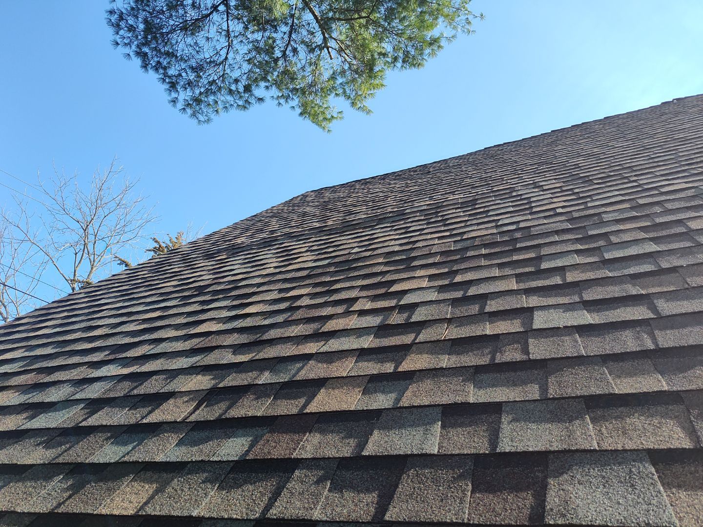 Residential Roofing Install - Atlas Pinnacle Pristine Shingles - Color Majestic Shake  by Titan Commercial & Residential Roofing 