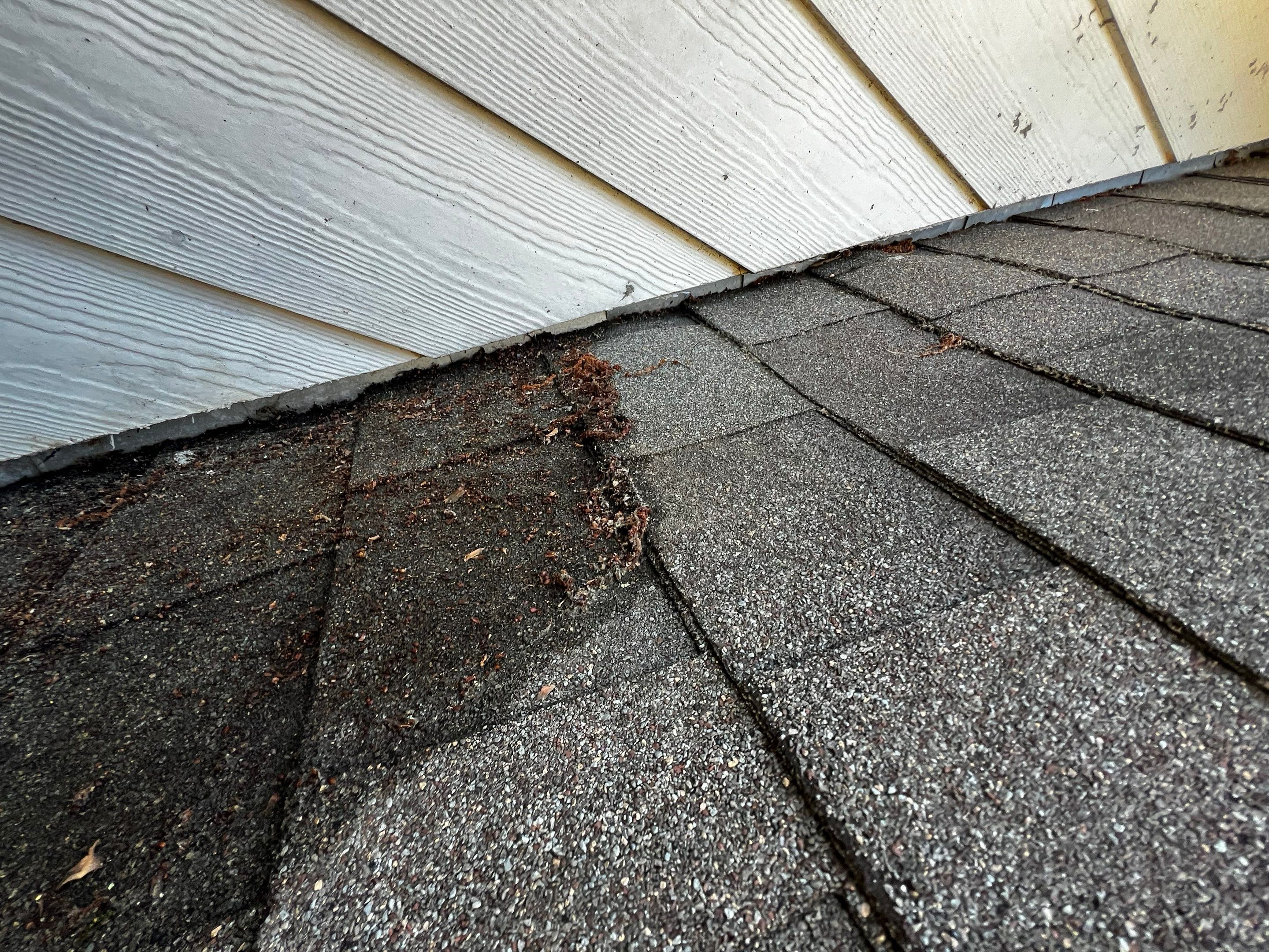Roof Repair Houston by Roof Repair Services LLC
