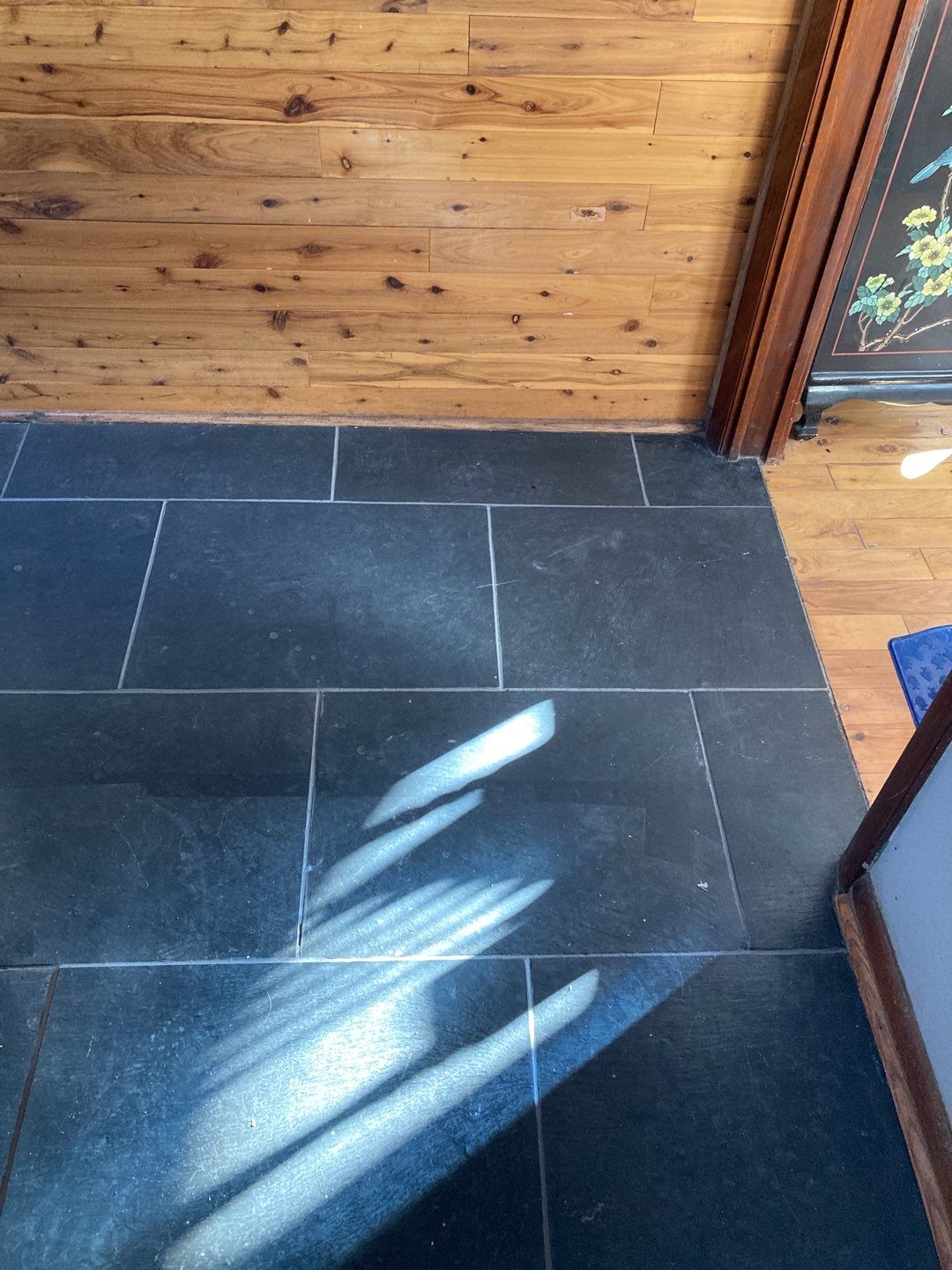 Mold Remediation using Containment by Accountable Home Services